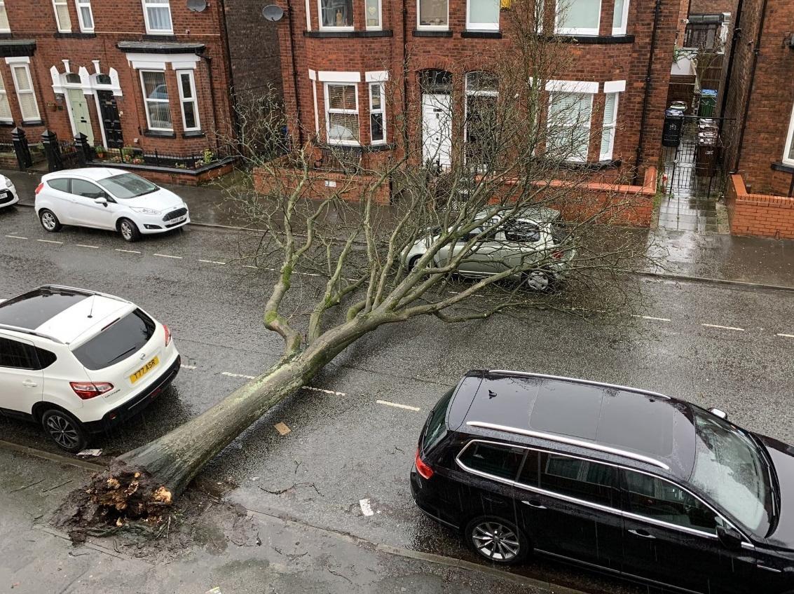 A tree down on top of a car in Wigan. Picture taken with permission from the twitter feed of @vickigregson