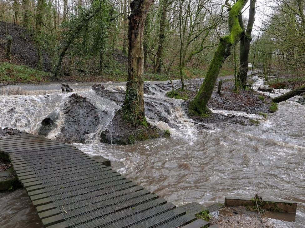 Flooding at Haigh Woodland Park