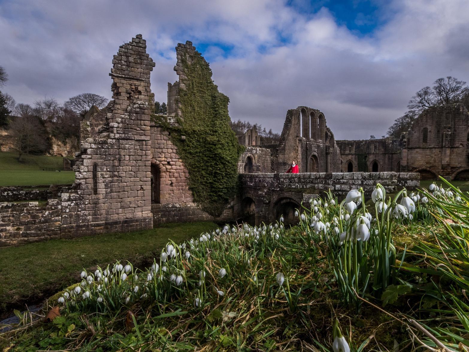 Look out for the first snowdrops making an appearance at Fountains Abbey this half term, with a family trail and crafts also taking place.
