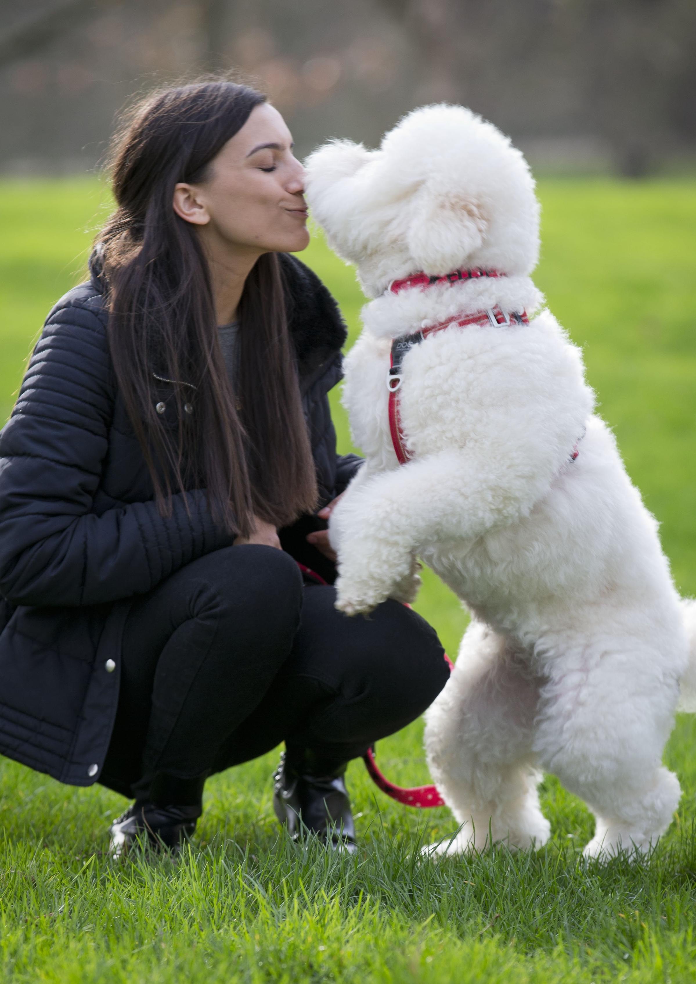 Friends for Life 2020 finalists Hayley Byrne-Ingle with her dog Ellie.