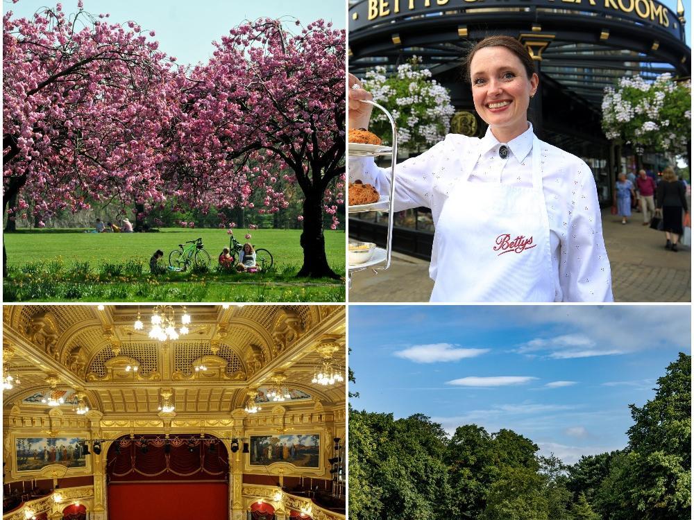 These are 15 reasons to be cheerful about living in Harrogate.
