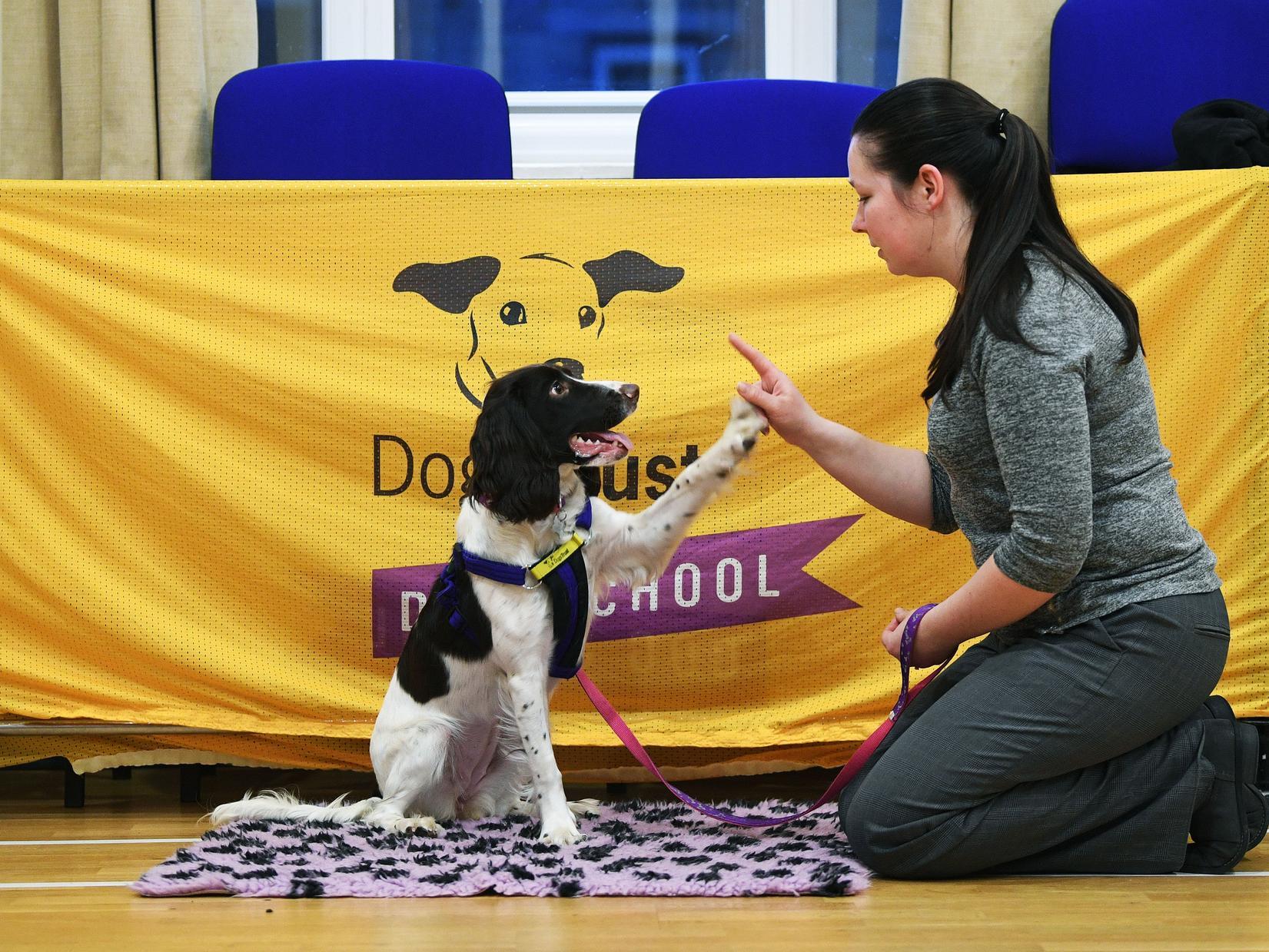 Jade Westgarth and her dog Millie at Leeds Dogs Trust Dog School session.