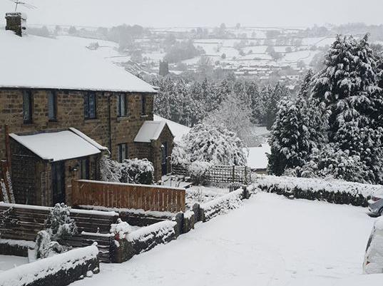 Snow in Harrogate. Photo: Tracey Quiney