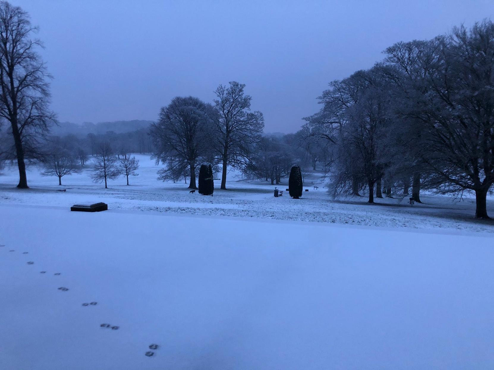 Heavy snow came down in Roundhay Park in Leeds