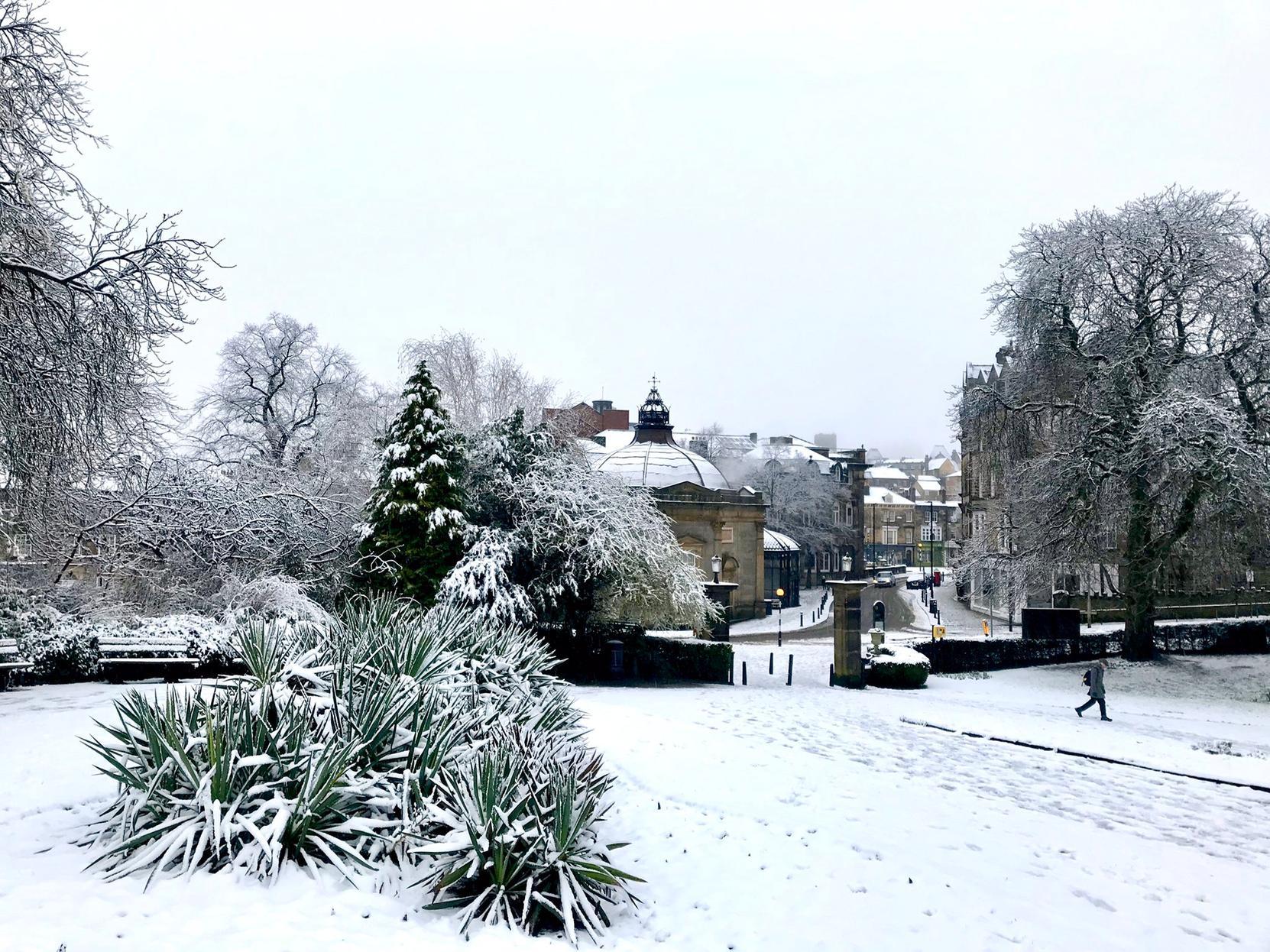 Wintry scenes at Valley Gardens this morning.