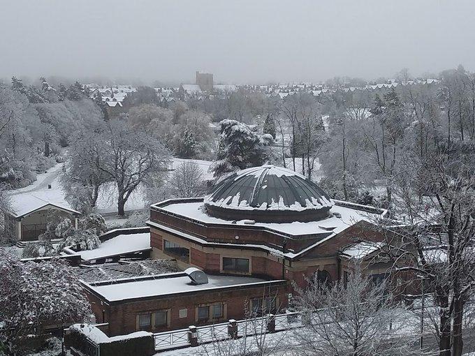 A view across snowy Harrogate and the back of Valley Gardens from the Bradley Mason LLP office today.