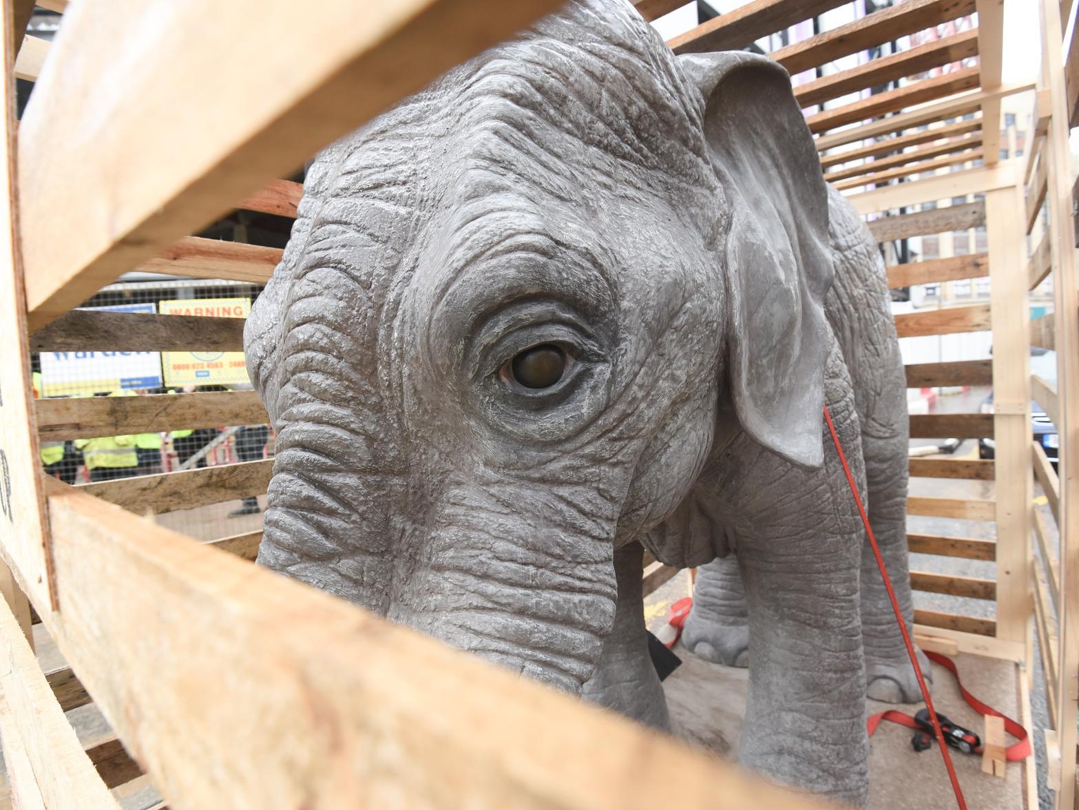 The fibreglass elephant arrived in a crate