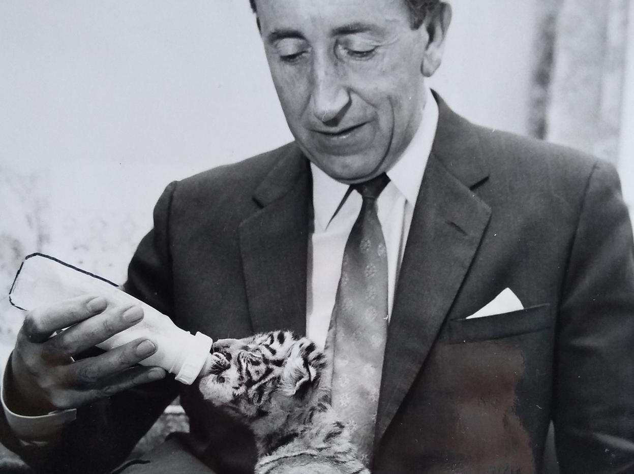 Four Royal Bengal Tigers were born in the zoo, during the early years of Blackpool Zoo. Zoo director Cyril Grace is pictured at his St Annes home giving one of the cubs one of the three hourly feeds.