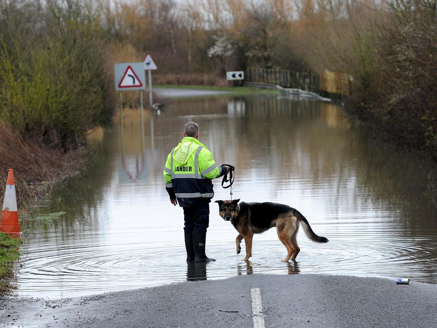 A man stand with his dog at Newton Lane, Fairburn Ings, as the region continues to battle floods.