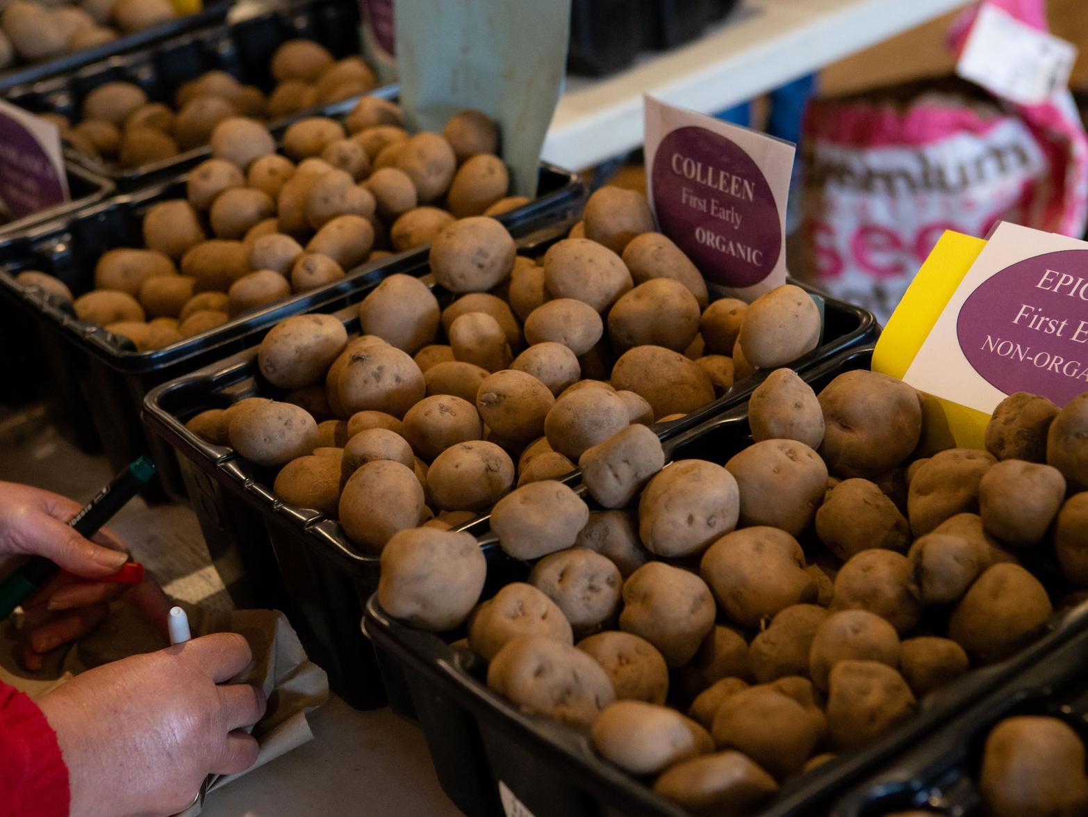 There were a variety of potatoes and other vegetation on offer at the annual event.