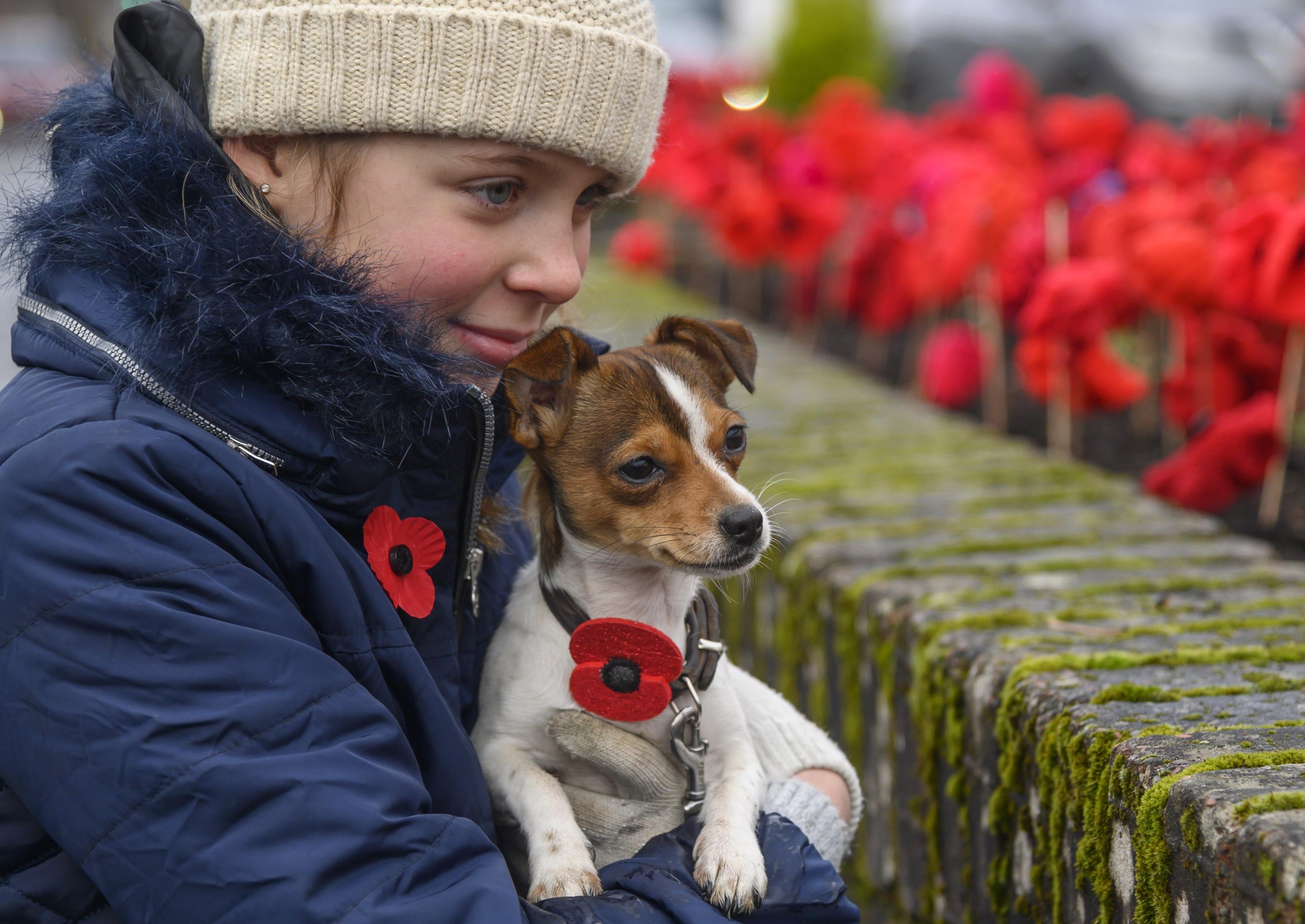 Meghan Hendry and her dog Smudge look at knitted poppies in Lauder
.