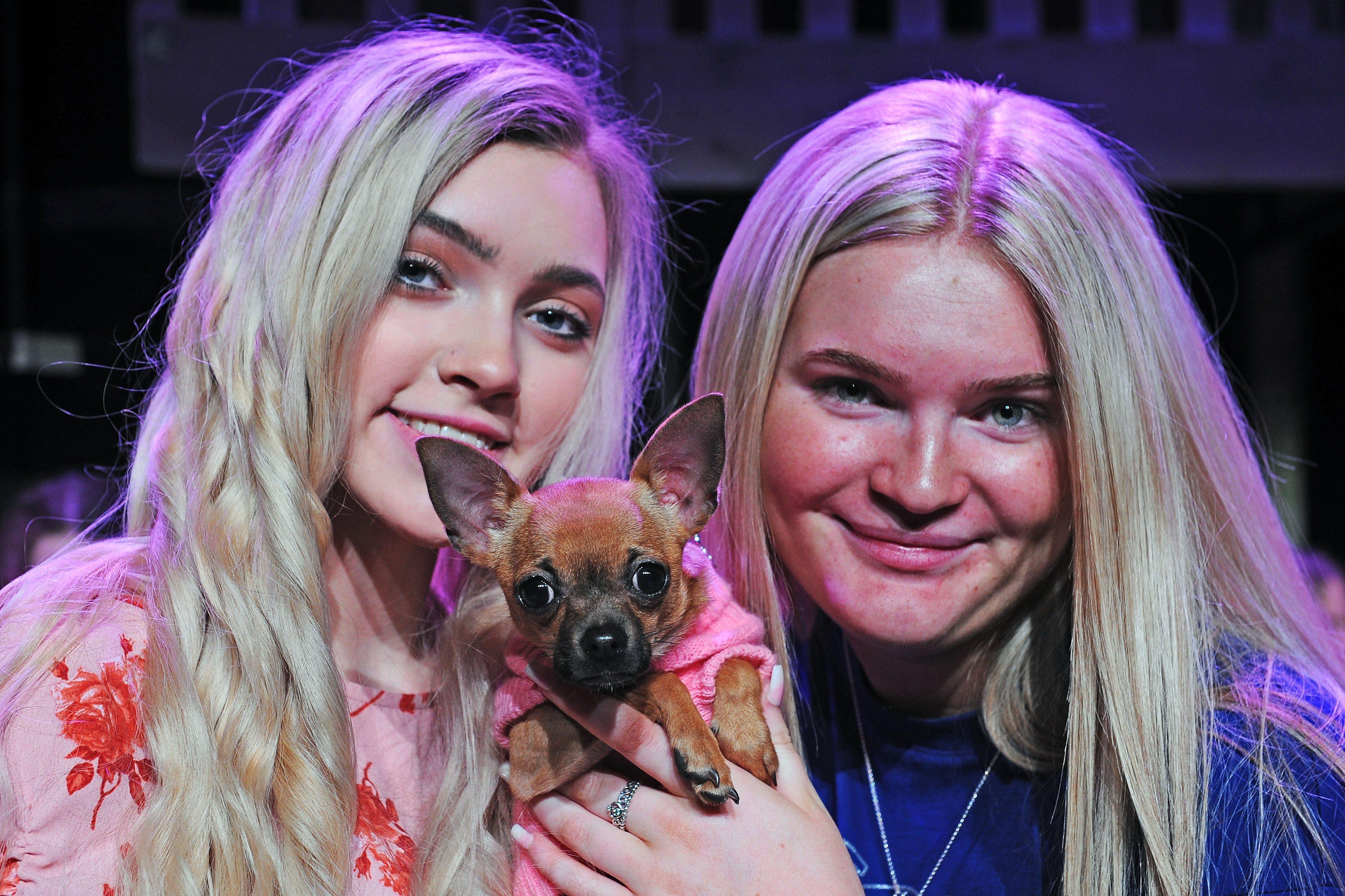 Falkirk Youth Theatre production of Legally Blonde at Falkirk Town Hall. Kasie Campbell, left, and Holly Cunningham, who both play Elle Woods in different performances, with Mollie, who plays Bruiser. Picture by Michael Gillen.