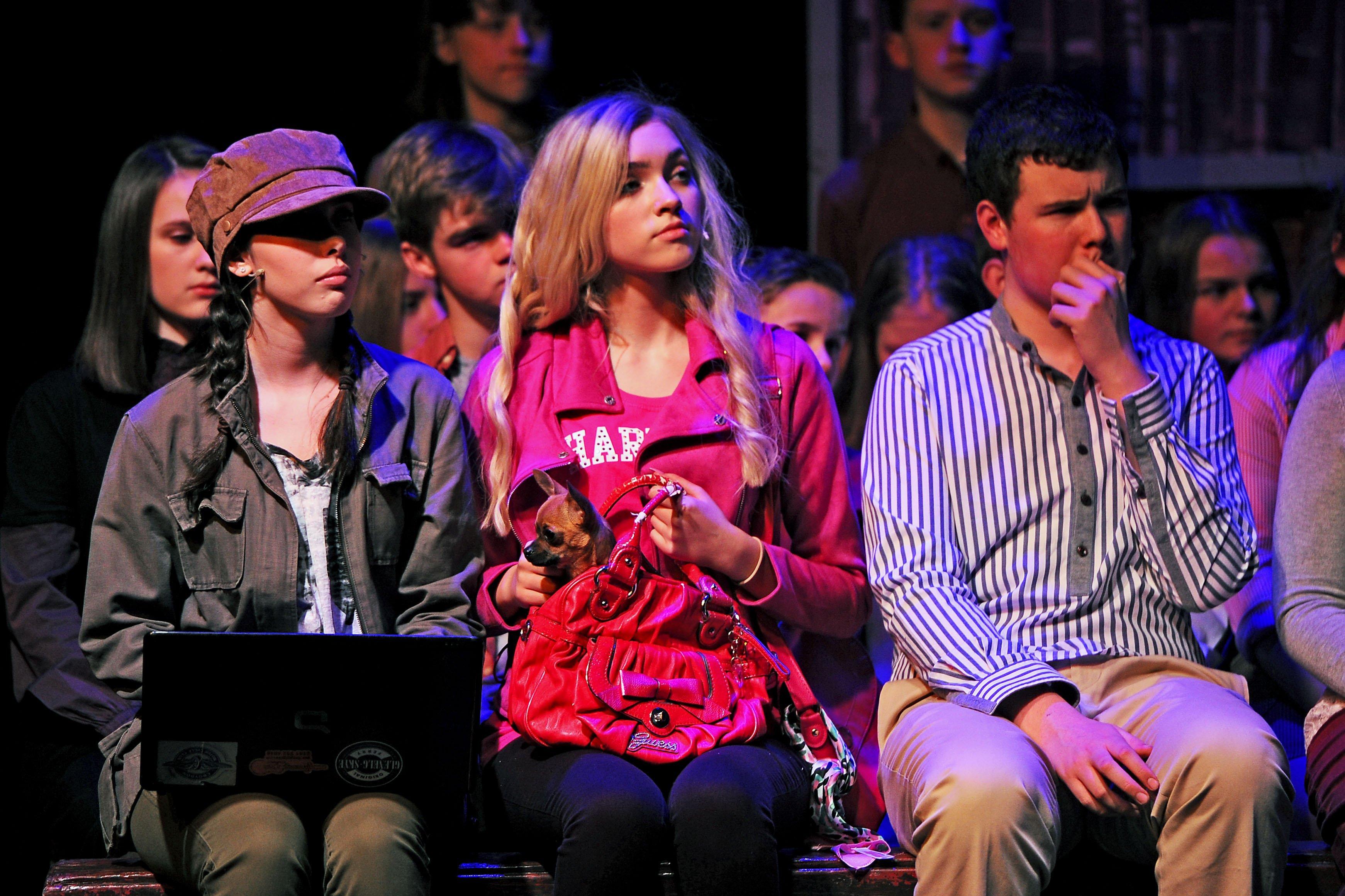 Falkirk Youth Theatre production of Legally Blonde at Falkirk Town Hall. Picture by Michael Gillen.