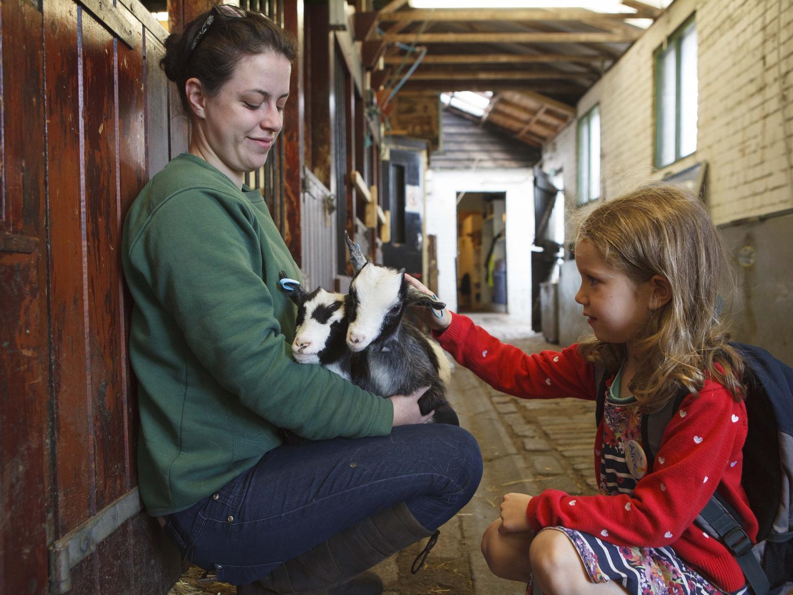 The farm has been a favourite place to visit for hundreds of thousands of families and children over the years.