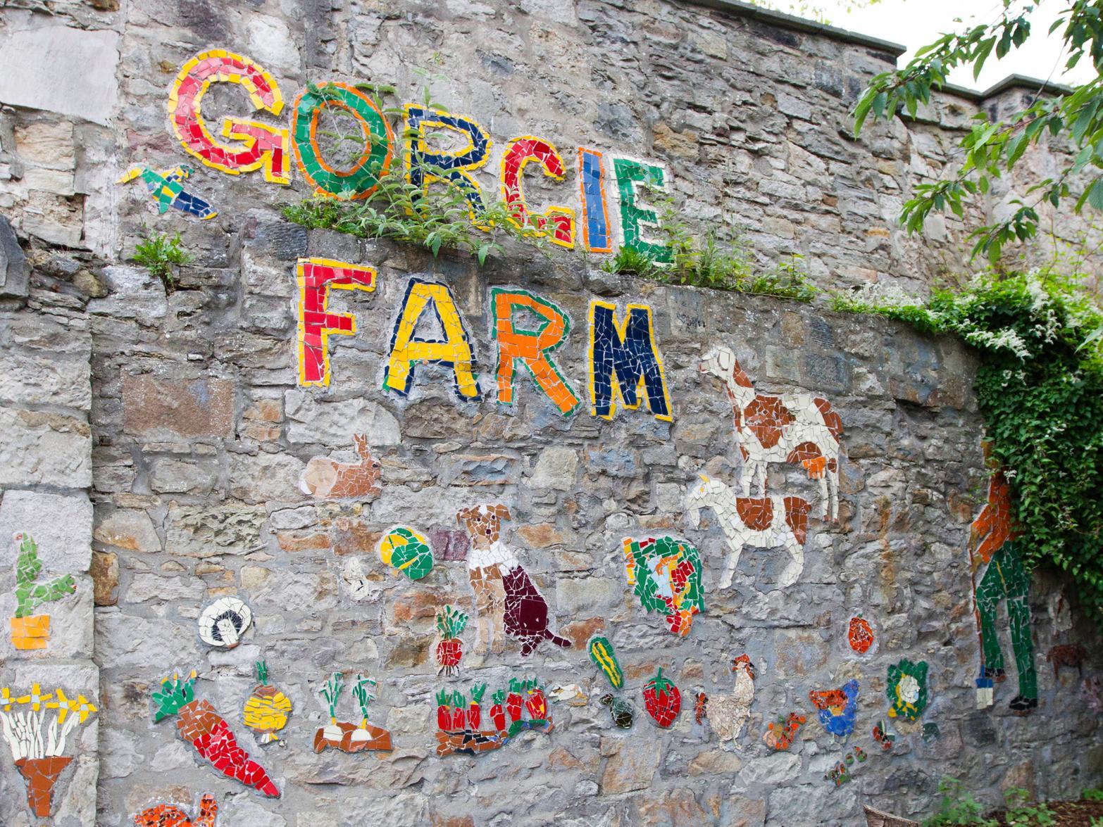 A total of 18 jobs will be lost as a result of the decision to close Gorgie Farm.