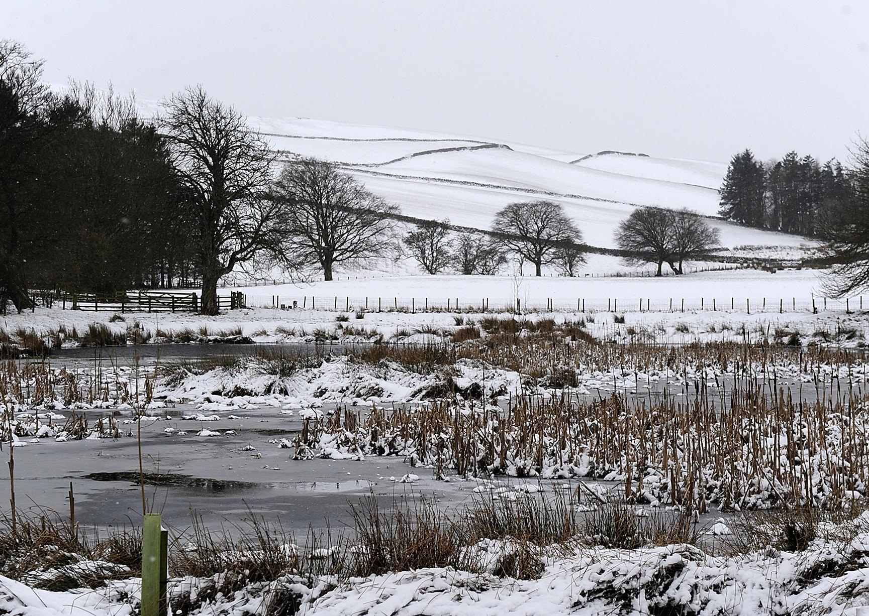 Snow covers the ground near Ettrickbridge, Selkirk.