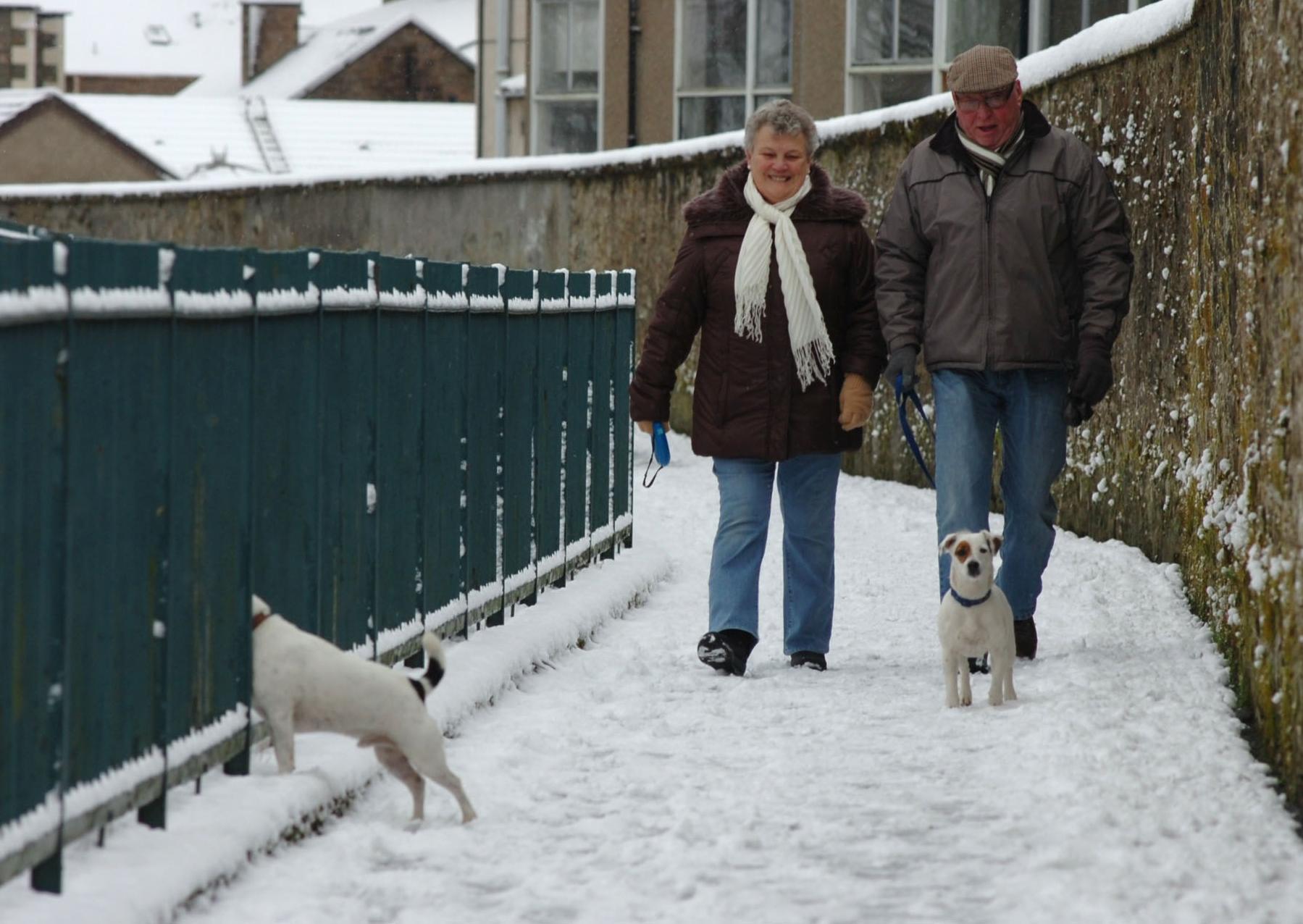 Hawick dog walkers in the snow.