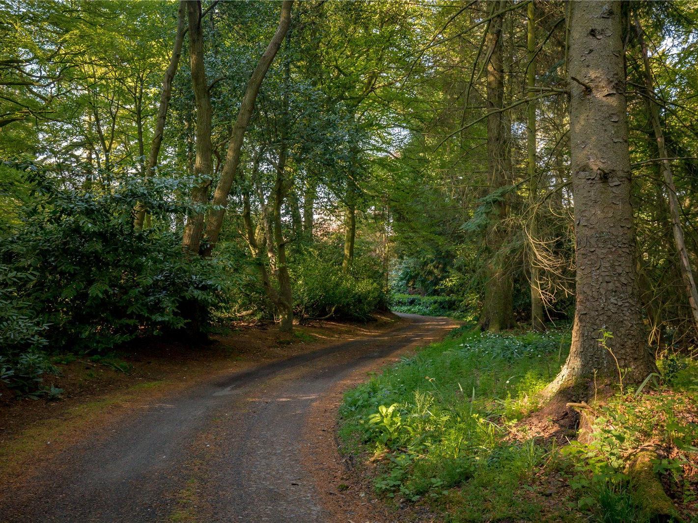 Driveway.