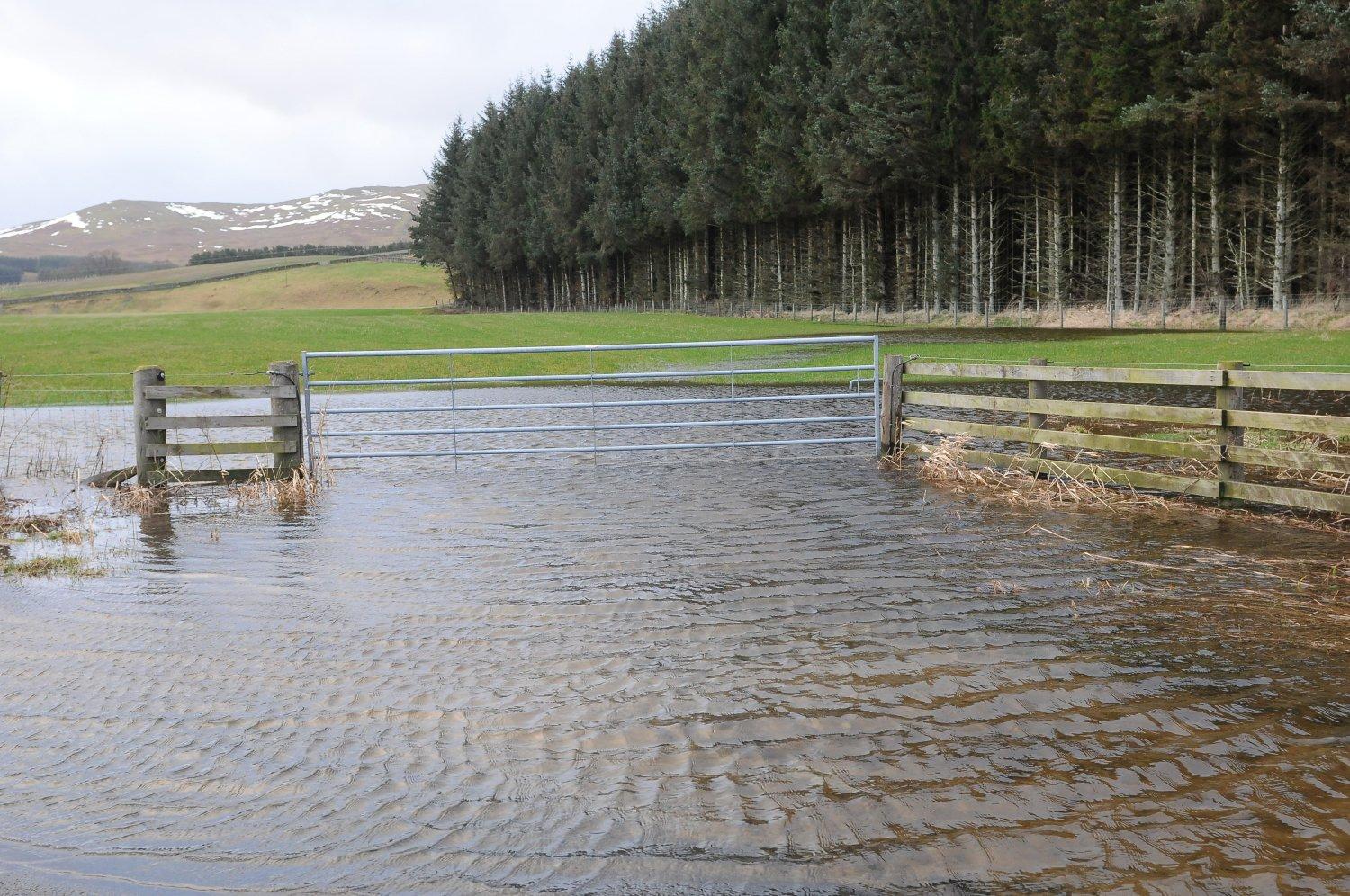 Floodwater in the Ettrick Valley.