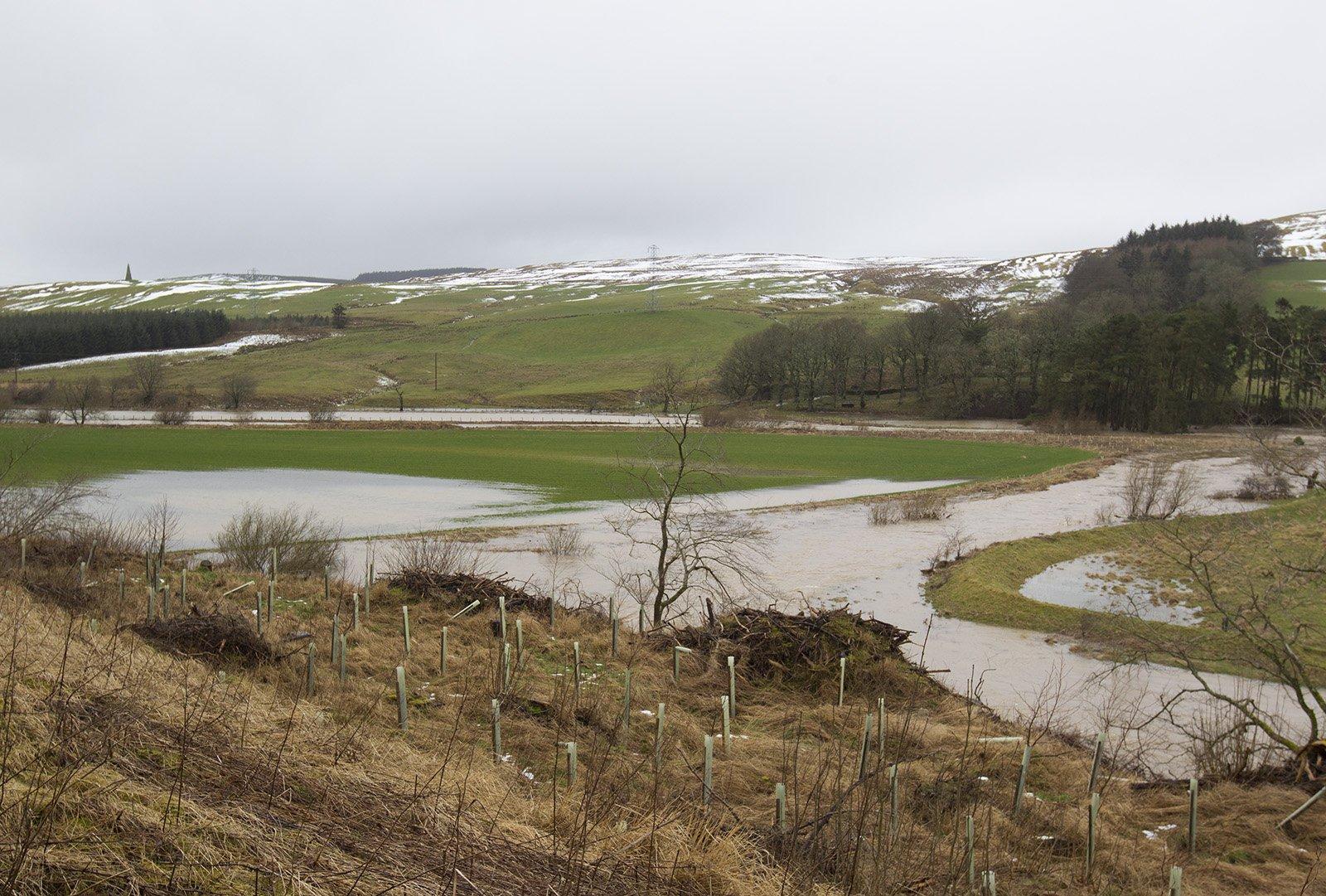 Flooded fields south of Hawick.
