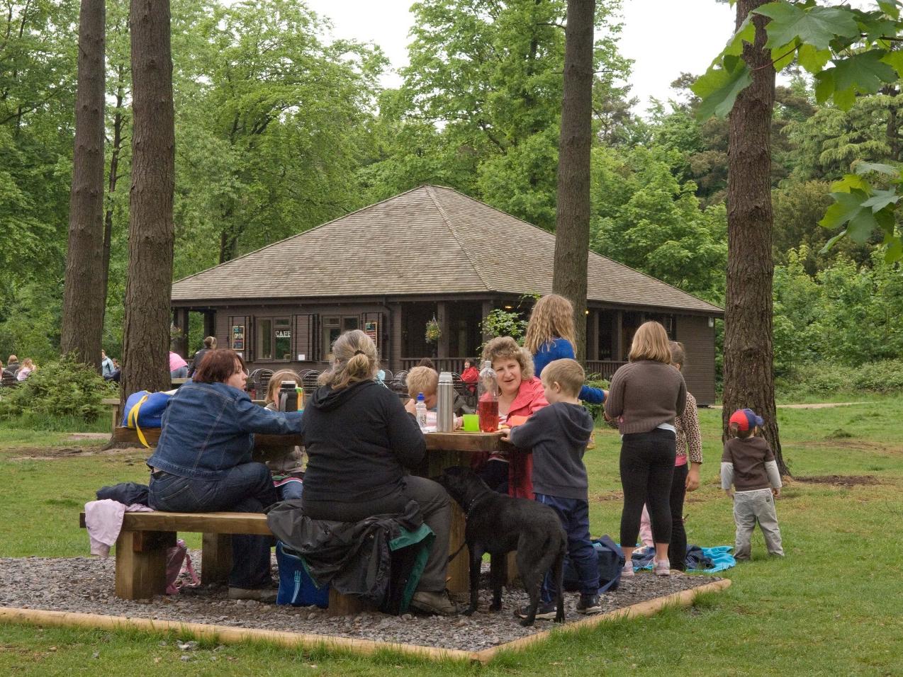 The area is a real leisure hive and boasts a cafe, picnic grounds and the Go Ape centre too