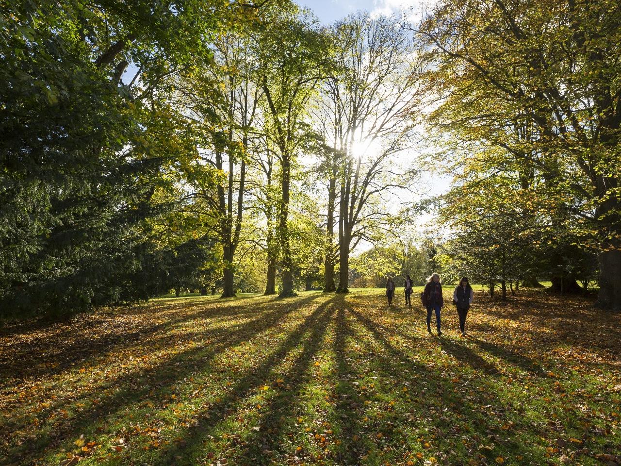 The grounds of Waddesdon Manor are the perfect setting for tranquil stroll