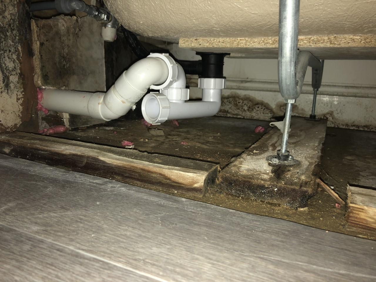 Damage caused by a bathroom leak left black mould in Danielle Lynes' house.