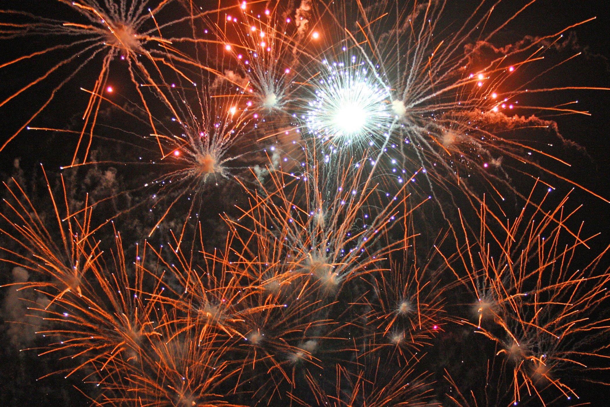 DM19110747a.jpg. Worthing fireworks night. Photo by Derek Martin Photography.