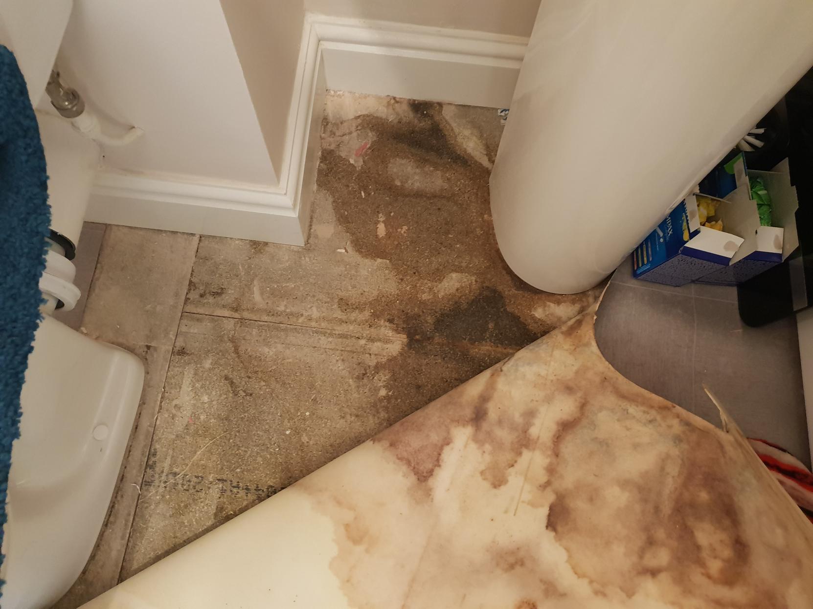 Poor plumbing left Liam Underwood and Natalia Dresler's floor damaged