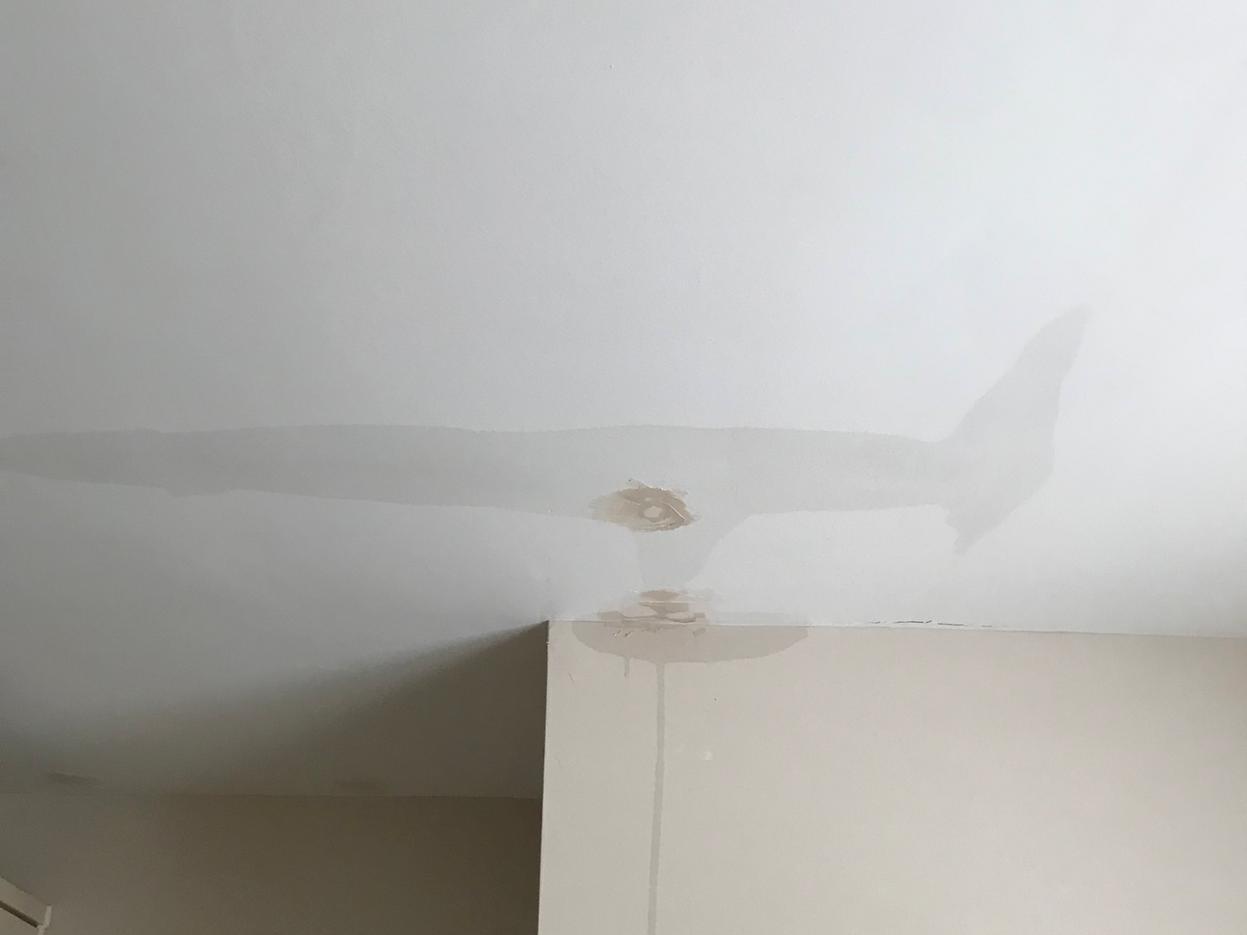 Another ceiling leak at Aimee Fogg and Adam Hindley's home