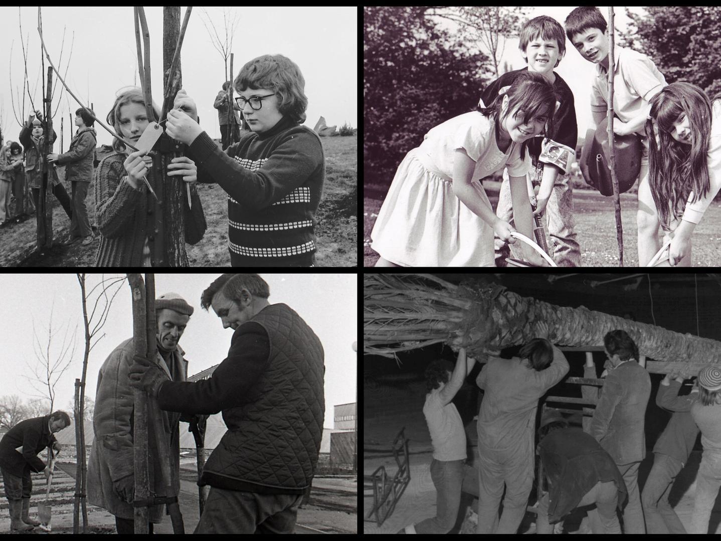 Remembering Milton Keynes from 1967 and sowing the seeds for 22 million