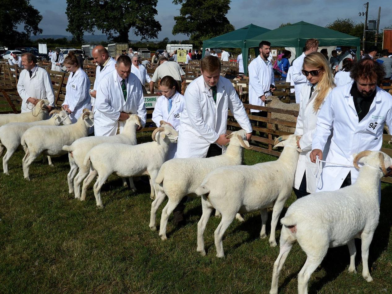The celebration of farming and rural life took place in August