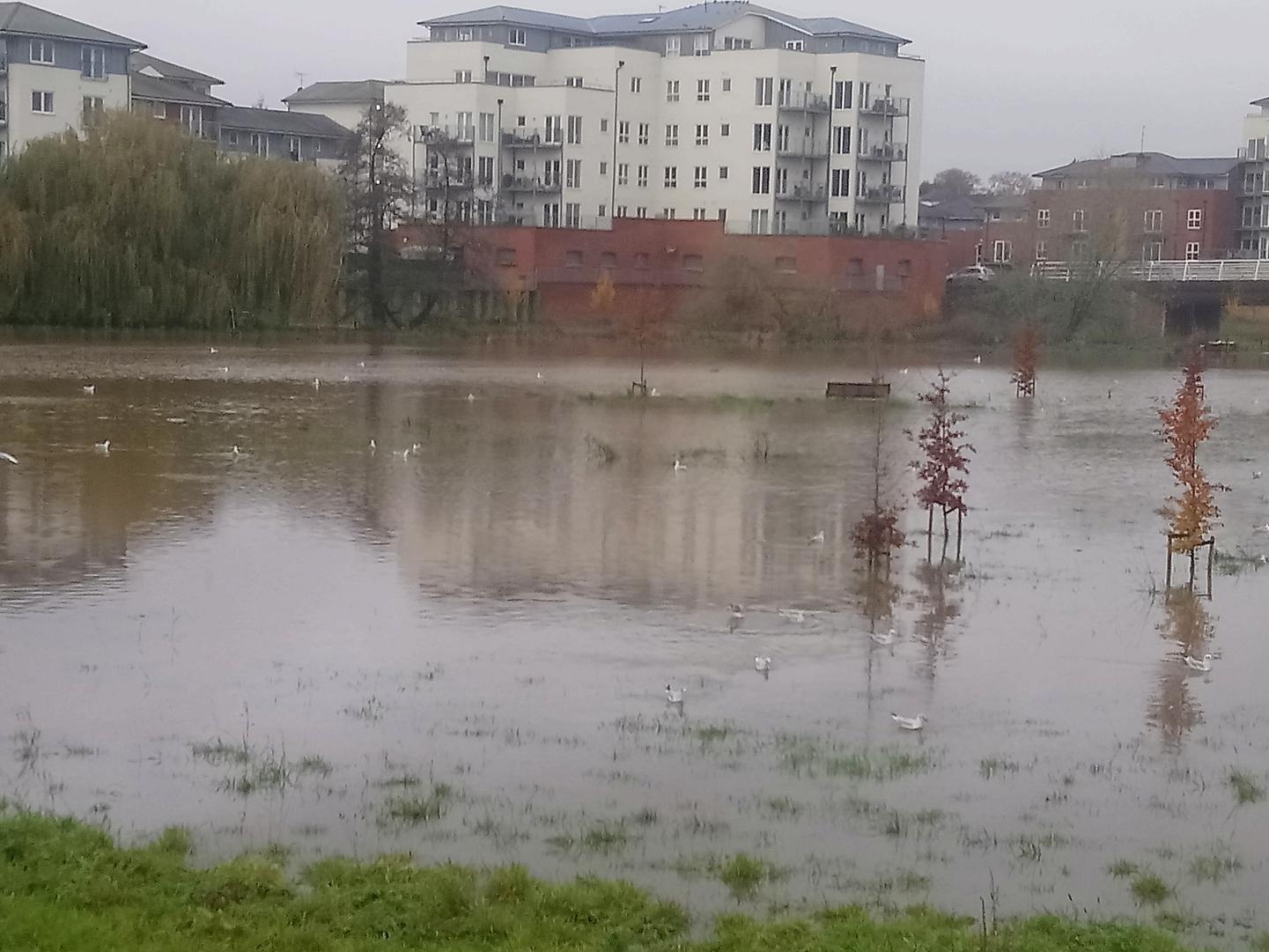 The flood plain near Portobello Bridge in Warwick