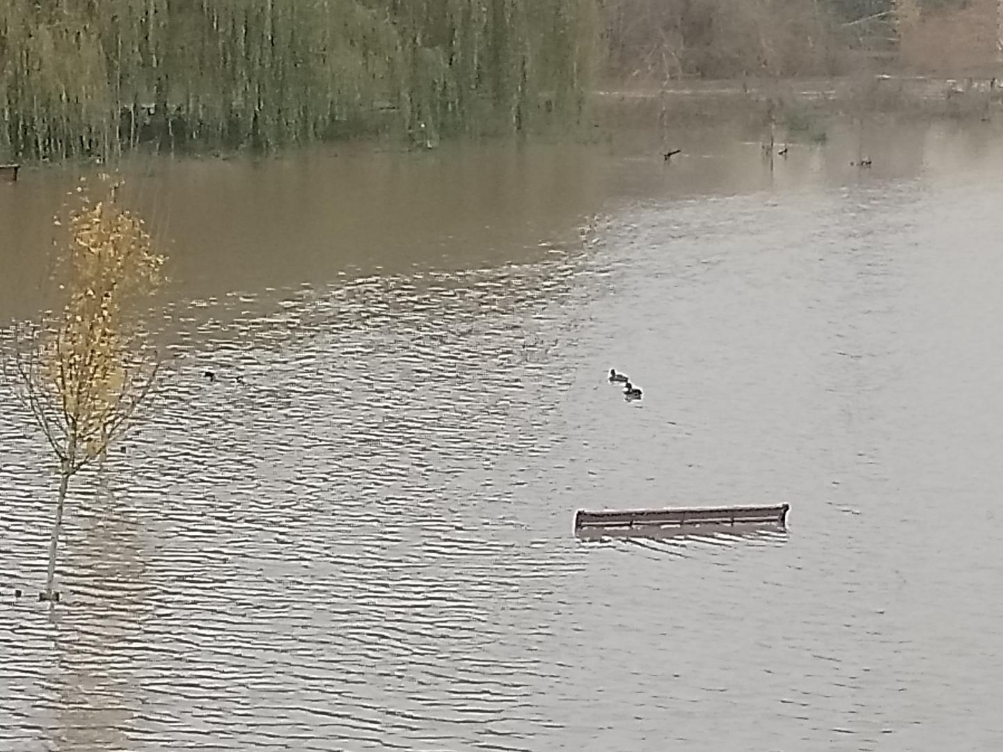 The flood plain near Portobello Bridge in Warwick