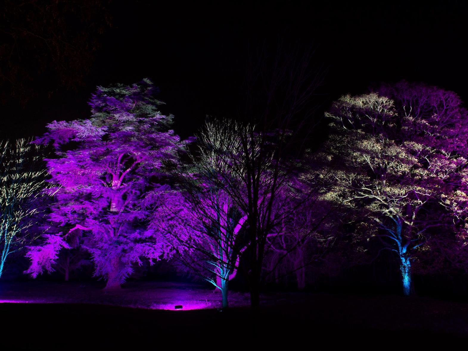 A trip to Waddesdon is sure to get you in the mood for Christmas