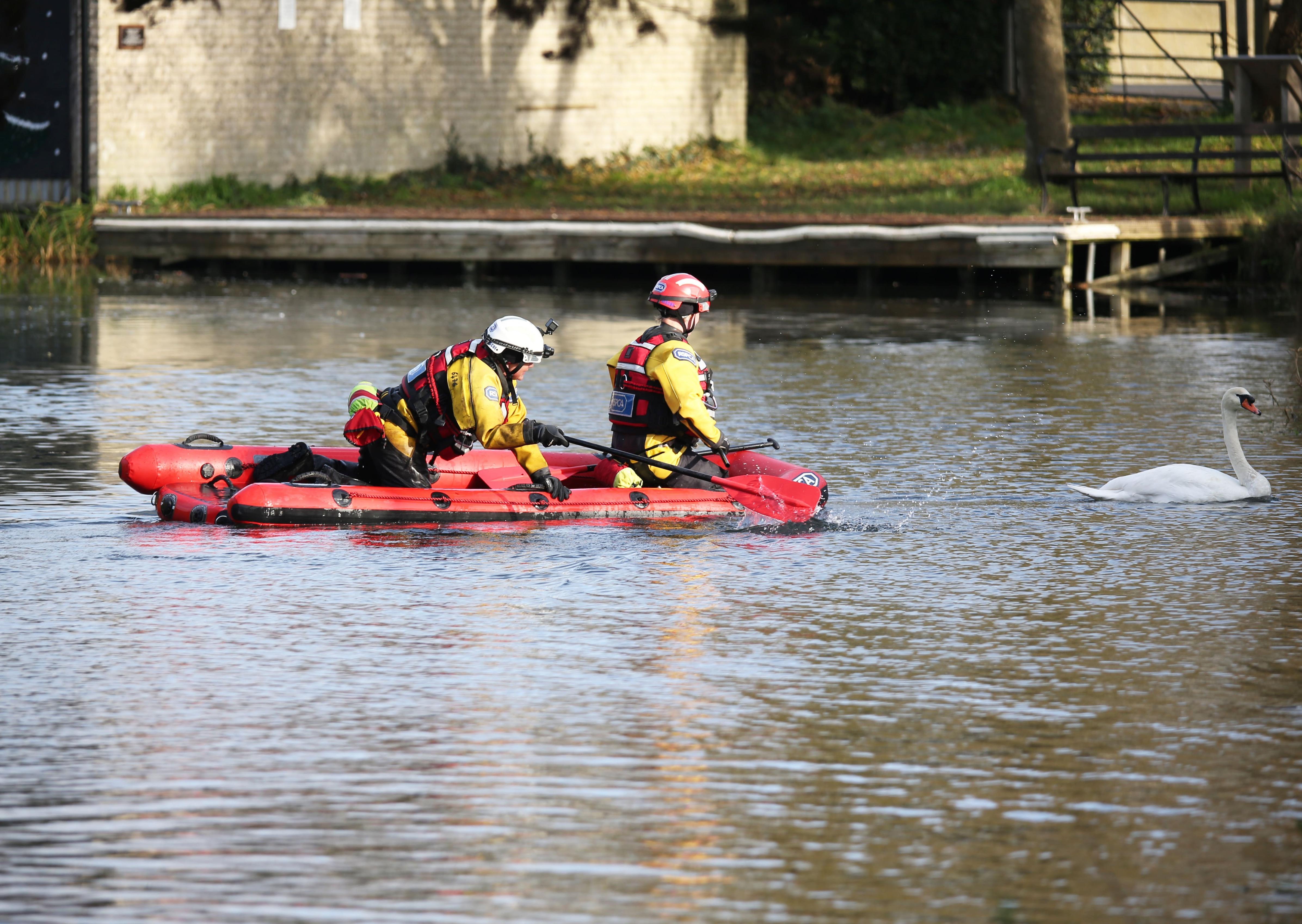 A rescue mission was launched at Chichester Canal this afternoon (Thursday, November 27), after two swans were found shot. SUS-191128-164319001