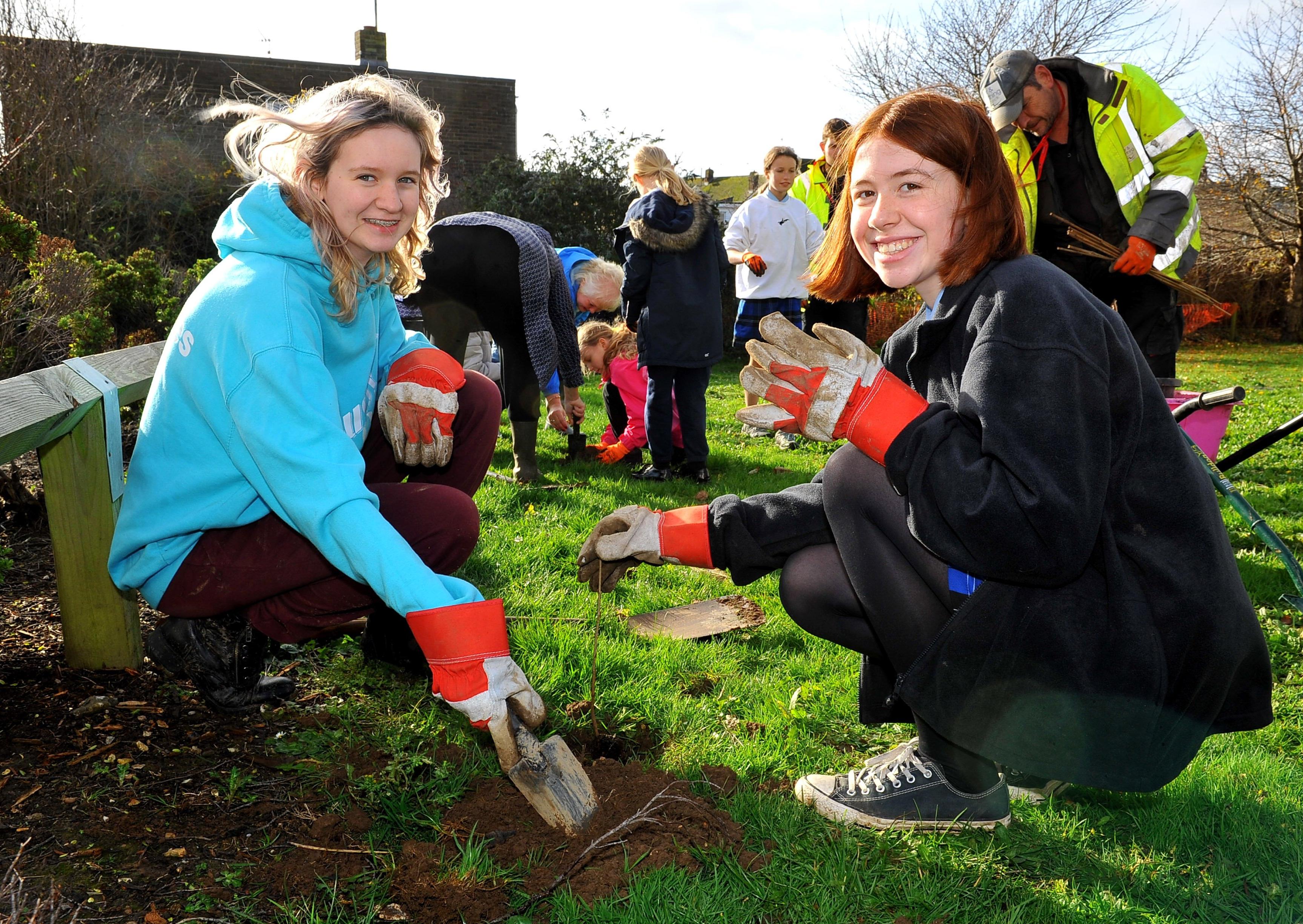 Shoreham Academy students spent the day planting trees