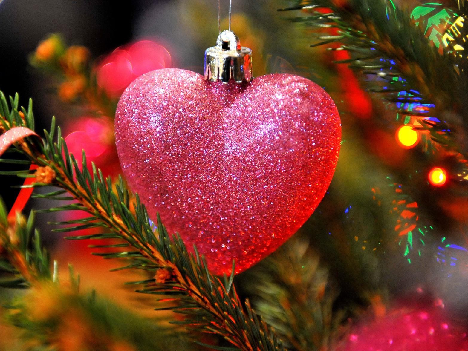 Cuckfield Christmas Tree Festival 2019