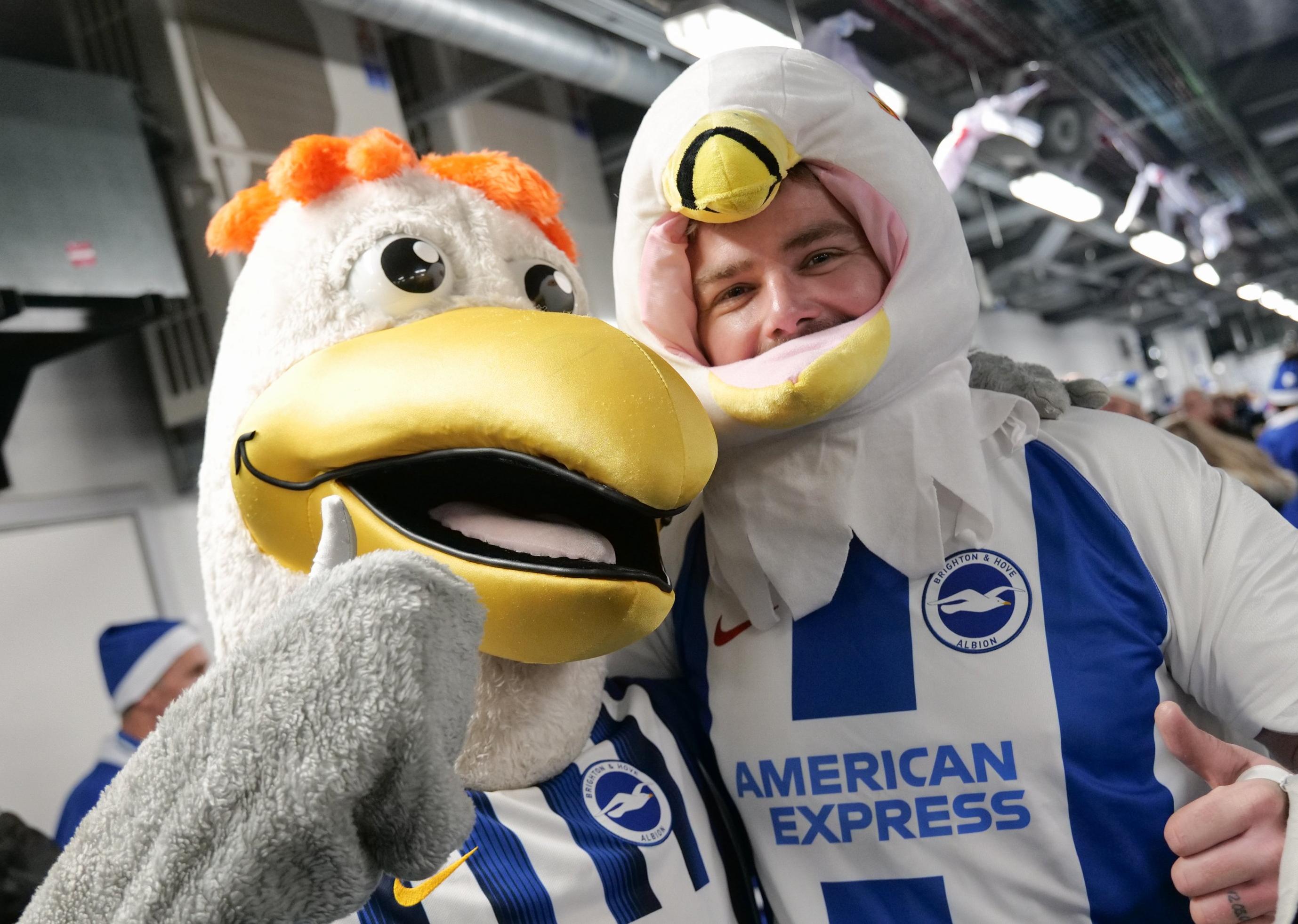 Albion in the Community's Seagulls' Festive Fun Run 2019.