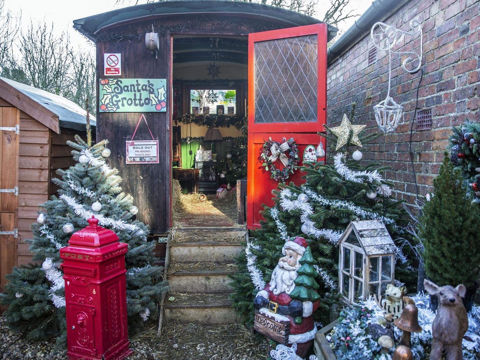 Welford Christmas Tree Farm. Pictures by Kirsty Edmonds.