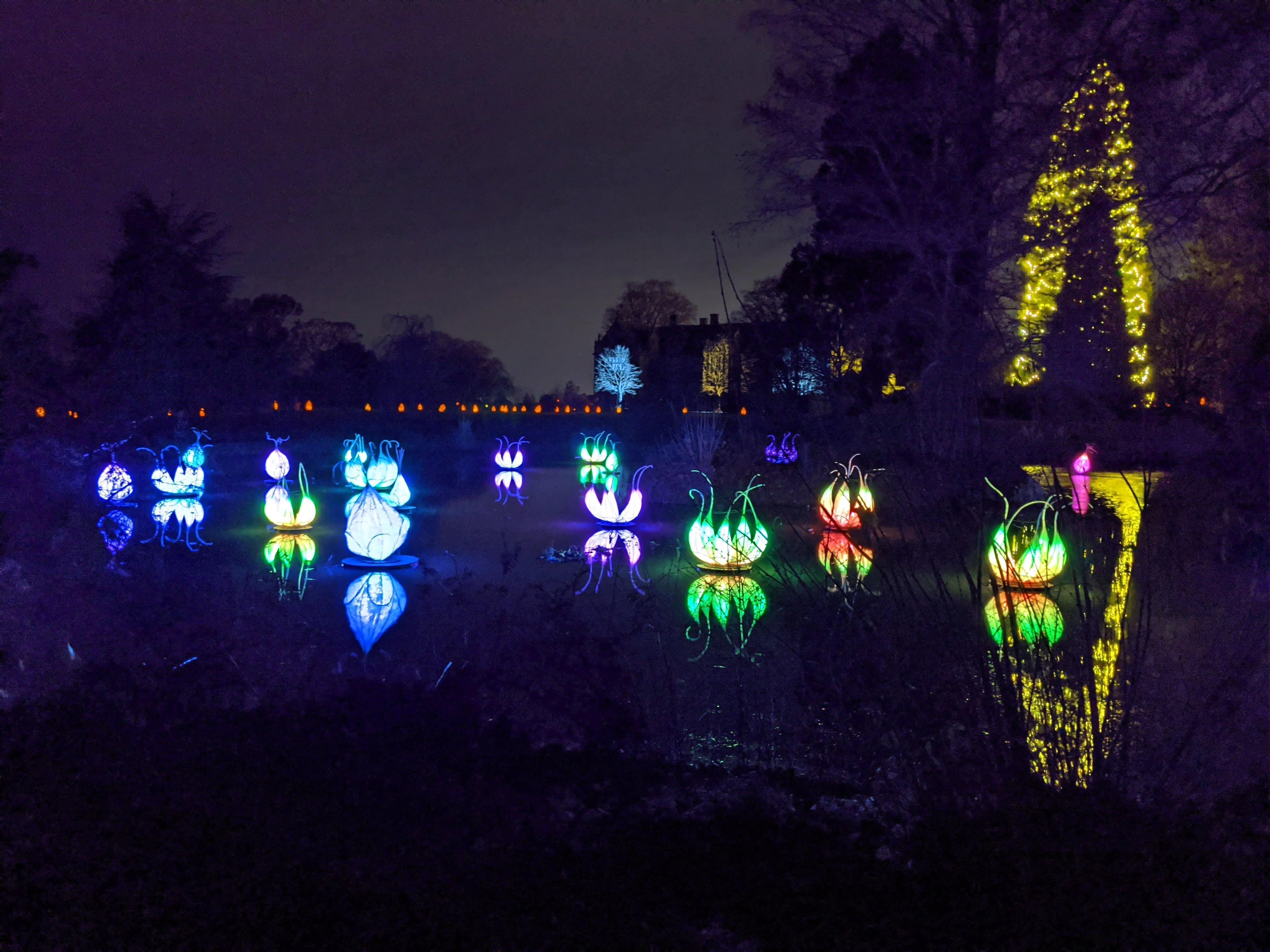Glow Wild at Wakehurst. Photo by Alan Stainer