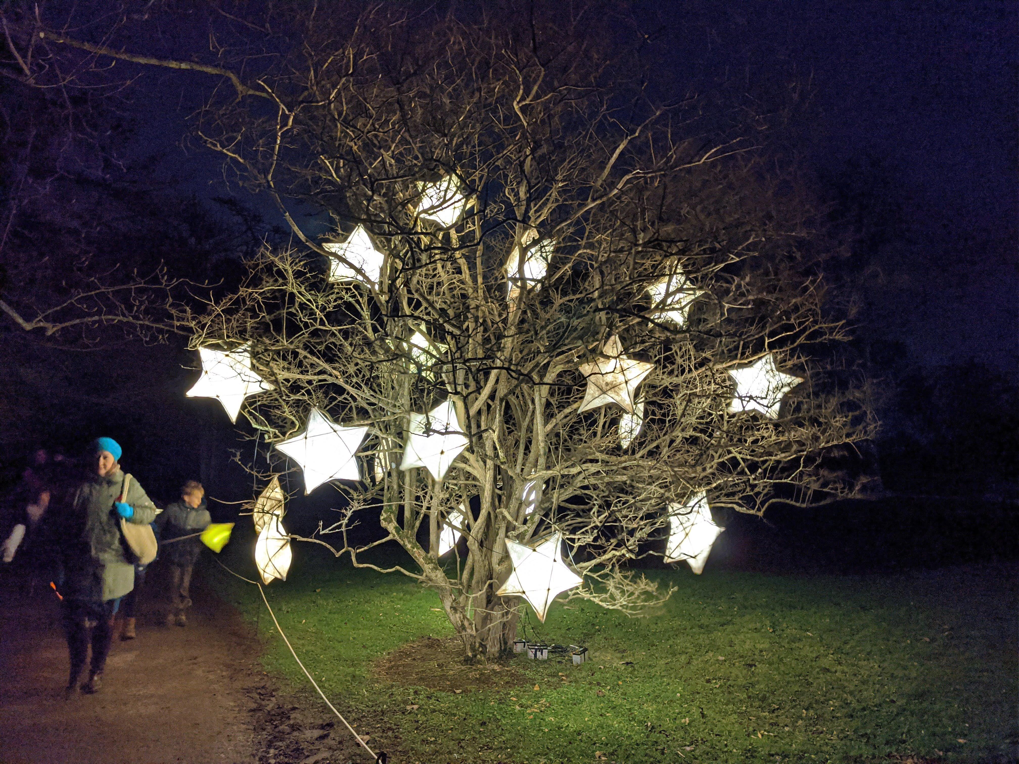 Glow Wild at Wakehurst. Photo by Alan Stainer