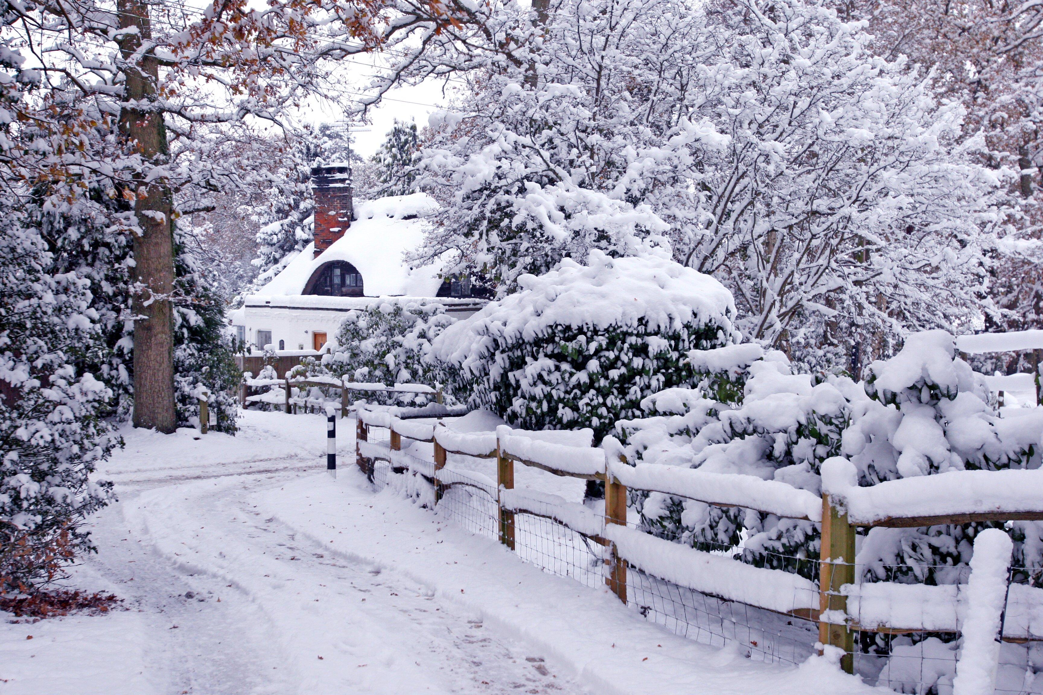 A picture-perfect snowy scene in West Chiltington in December 2010