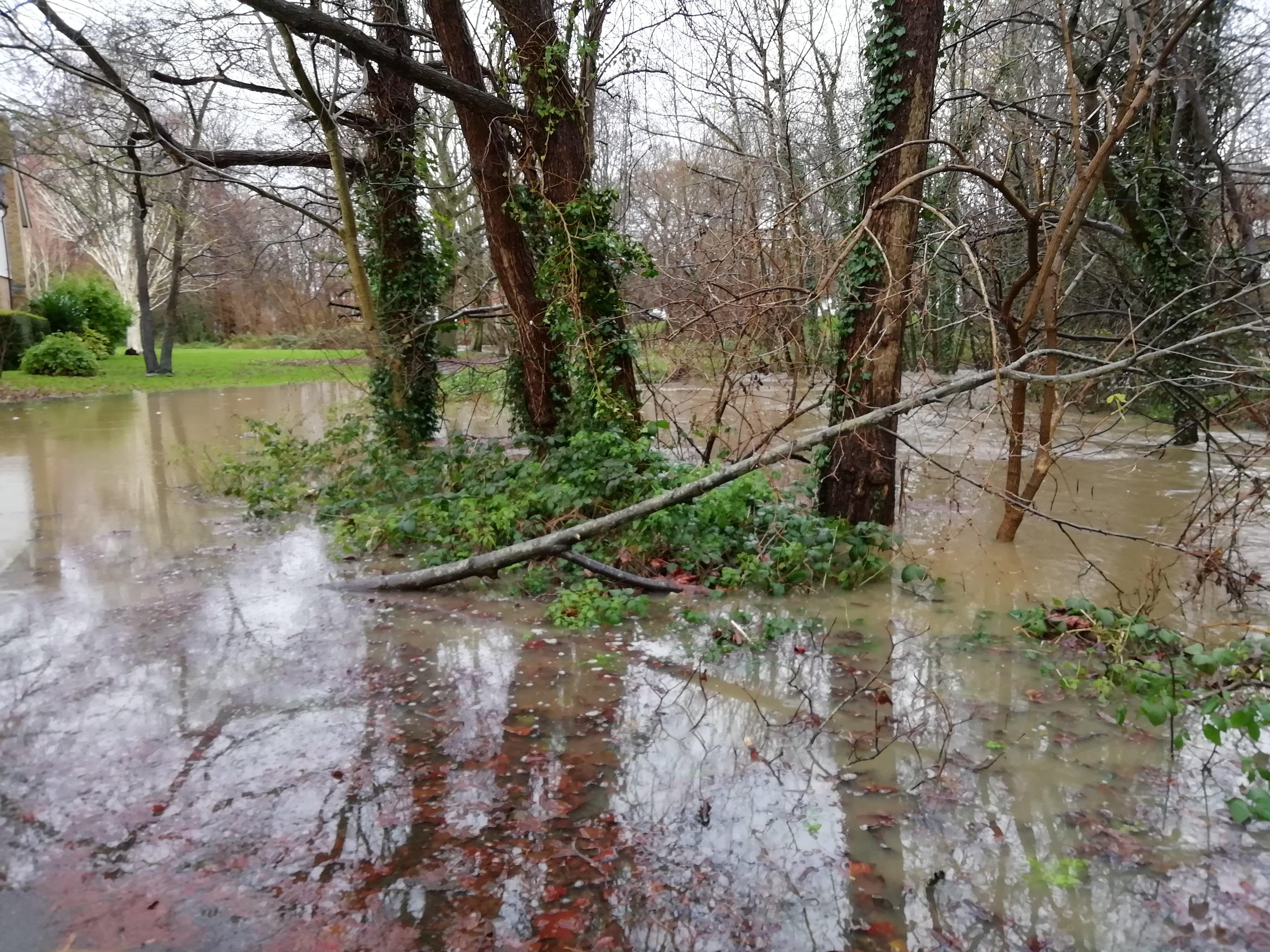 Green spaces have been submerged under floodwater