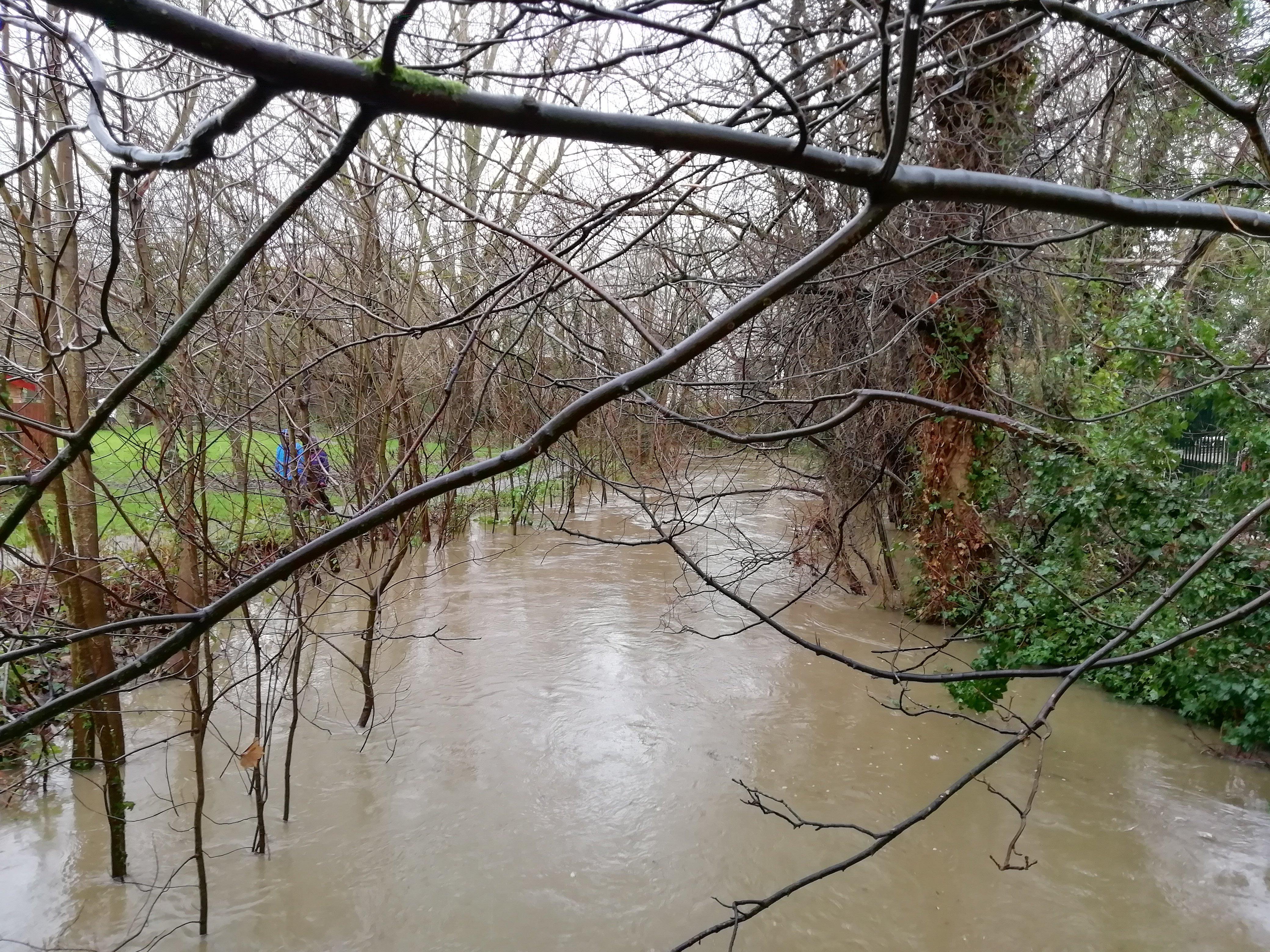 The River Arun has burst its banks near Tanbridge Park