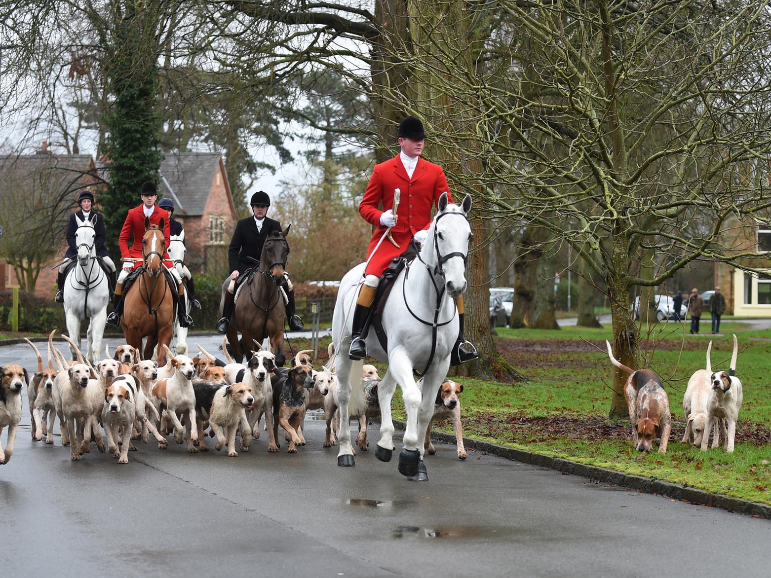 The Fernie Hunt heads to the Green in Great Bowden.
