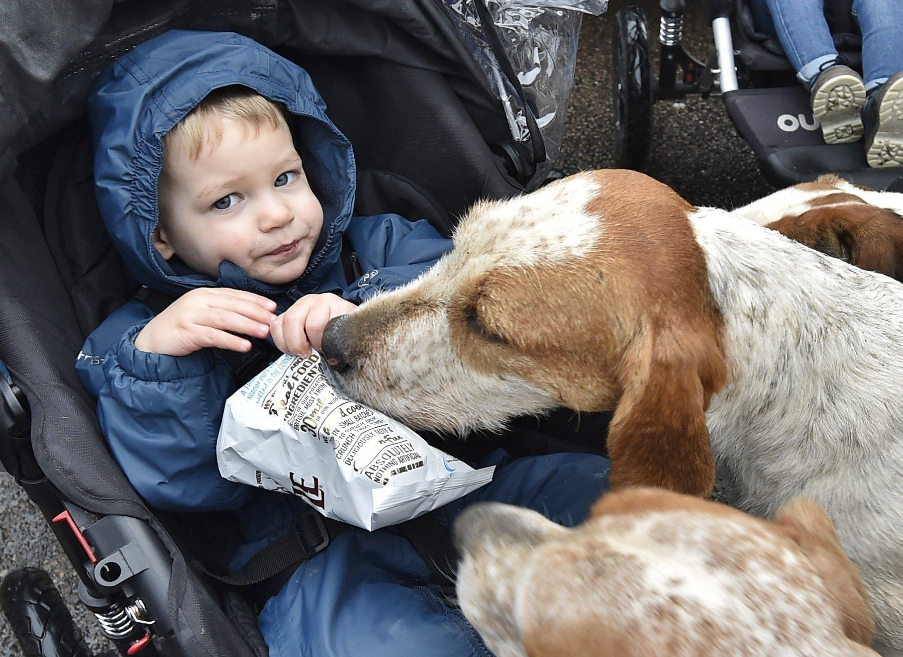 Boxing Day Fitzwilliam  Hunt 2019 at Stilton  Finlay Hart (2) sharing his crisps with one of the hounds. EMN-191226-143720009