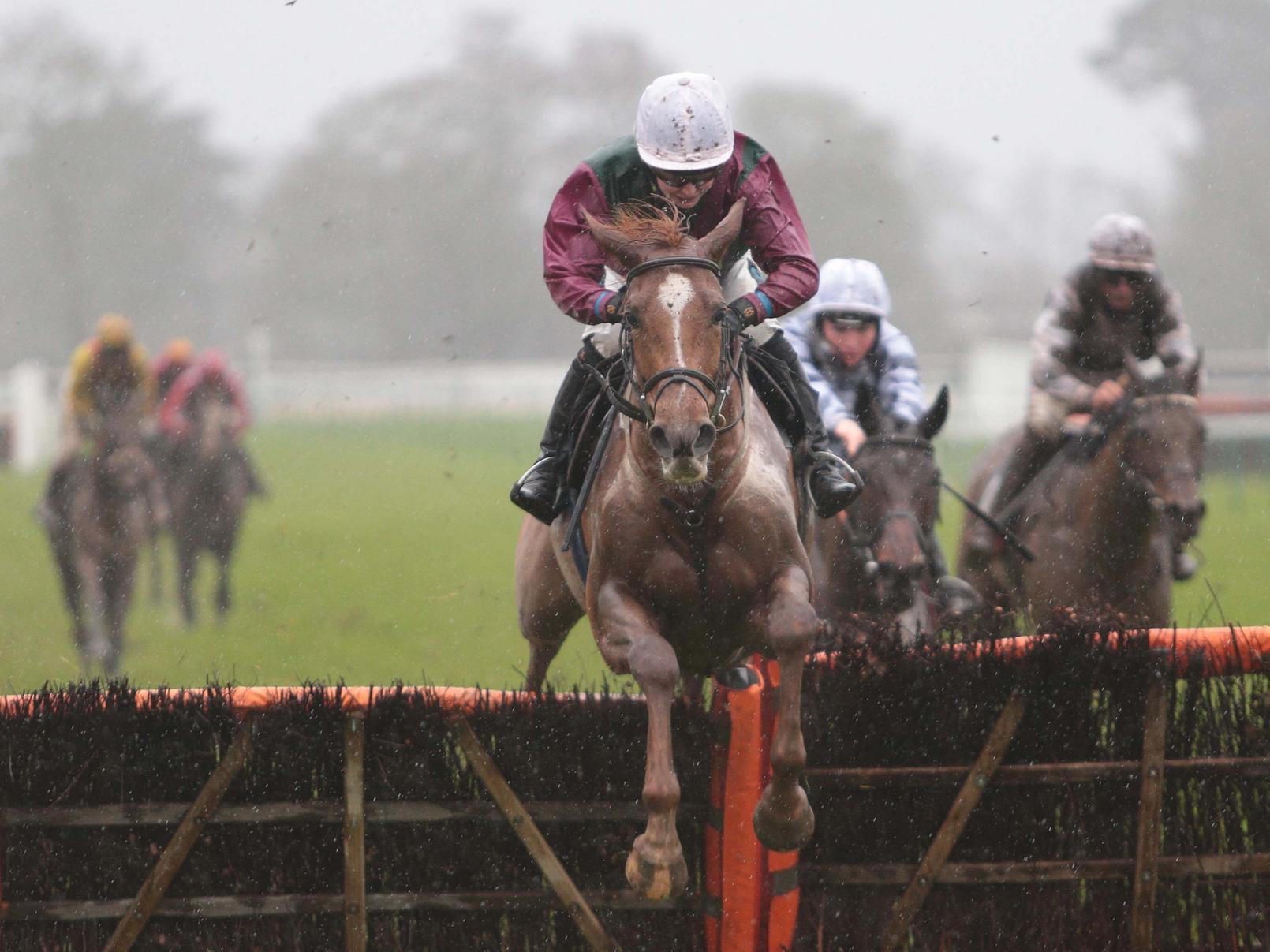 Fontwell Park's Boxing Day jump-racing meeting / Picture: Nigel Bowles