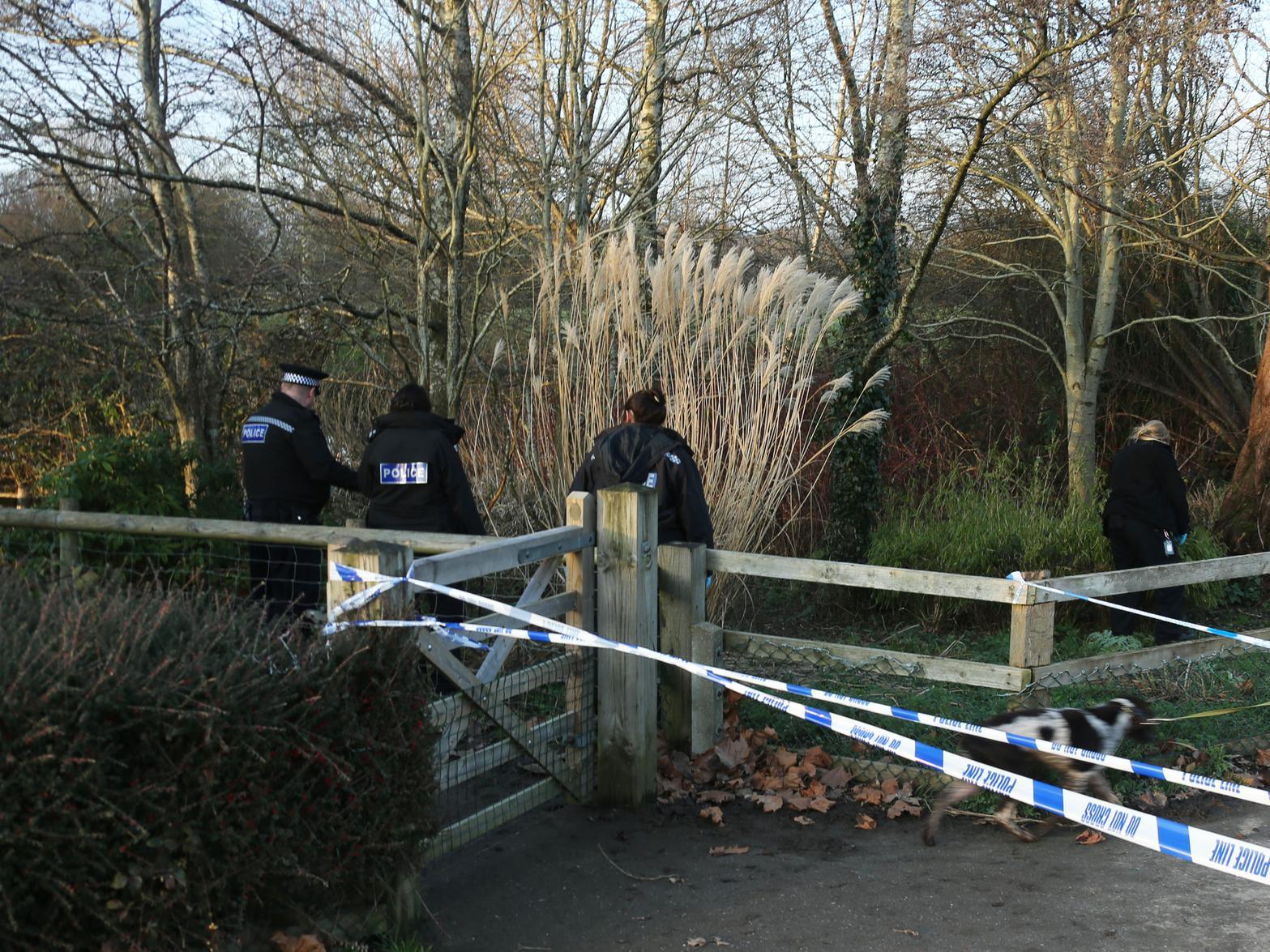 The scene of the incident in Horsham Park