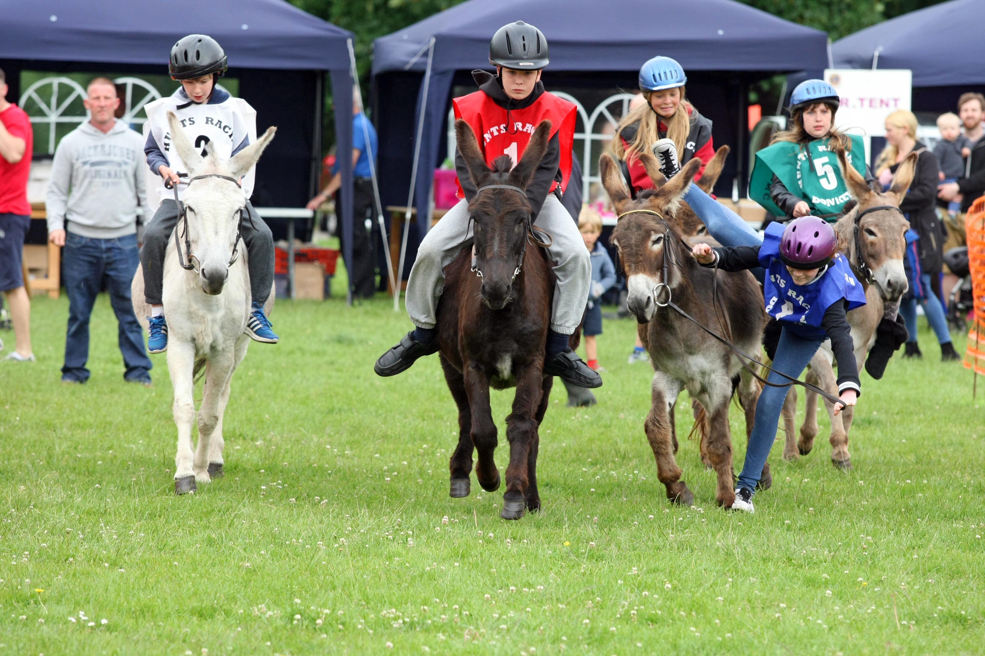 The dates for Adur East Lions Club's annual Donkey Derby and Classic Vehicle Rally are not yet released but it usually on at the beginning of June. Photo by Derek Martin DM16123648a